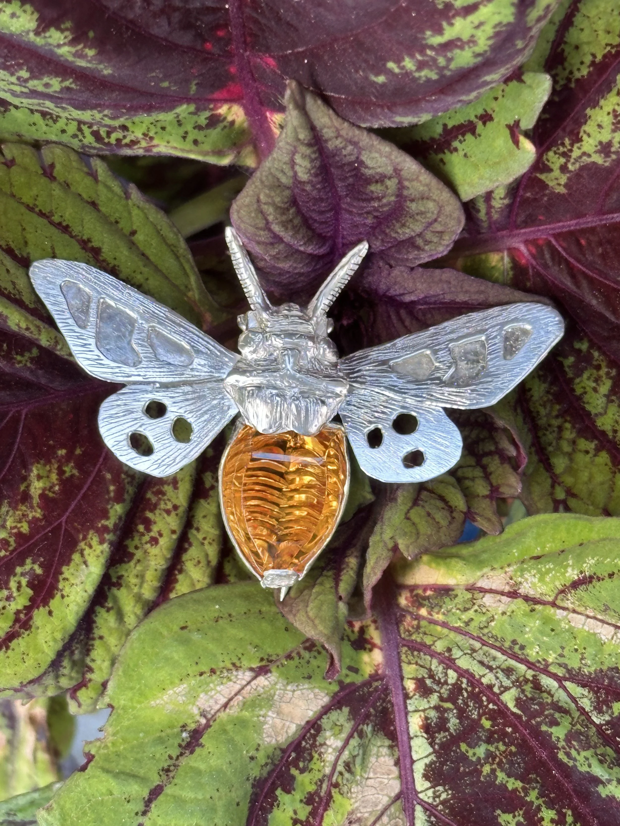 Moth Brooch_1.jpeg