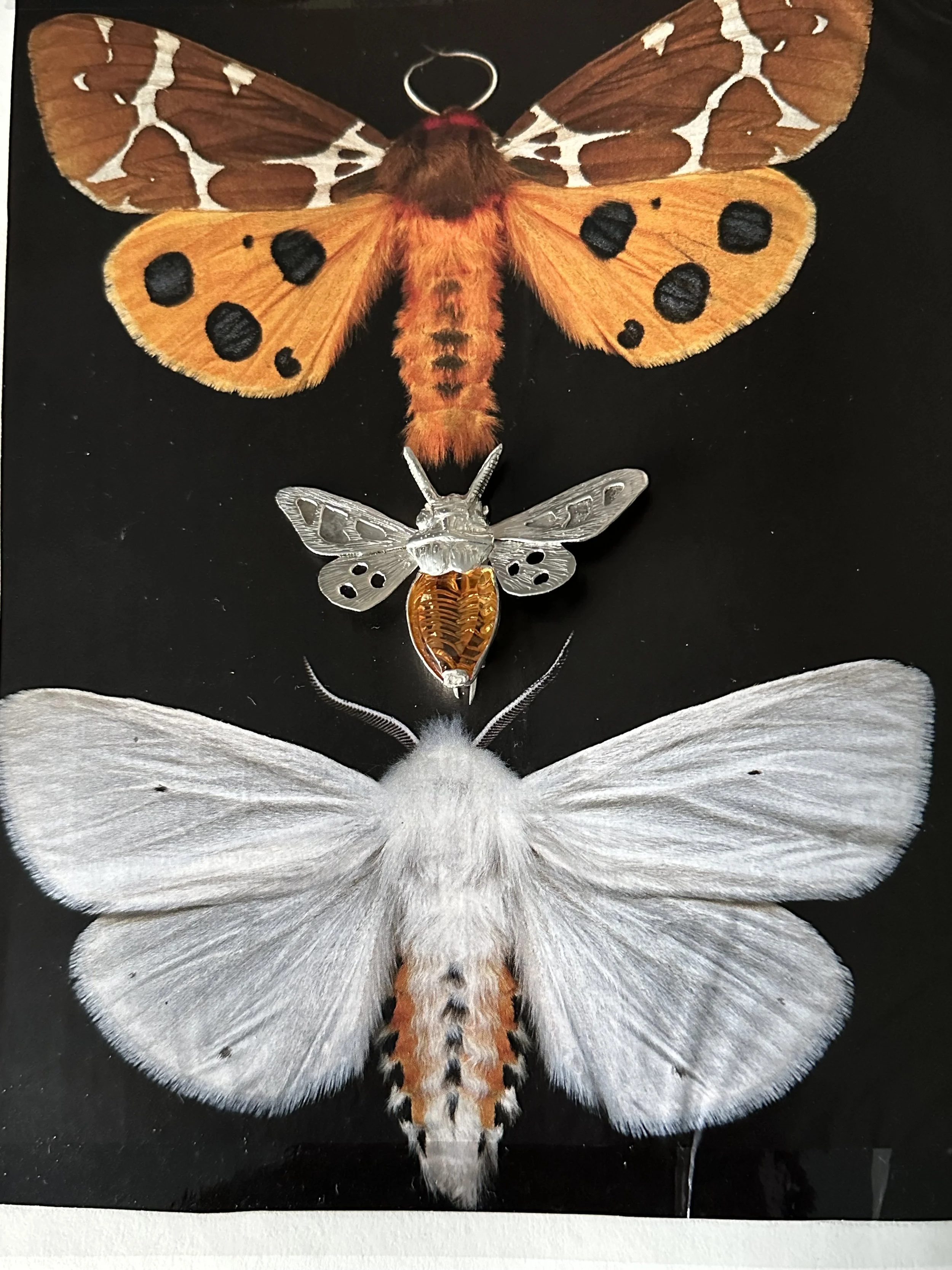 Moth Brooch.jpeg