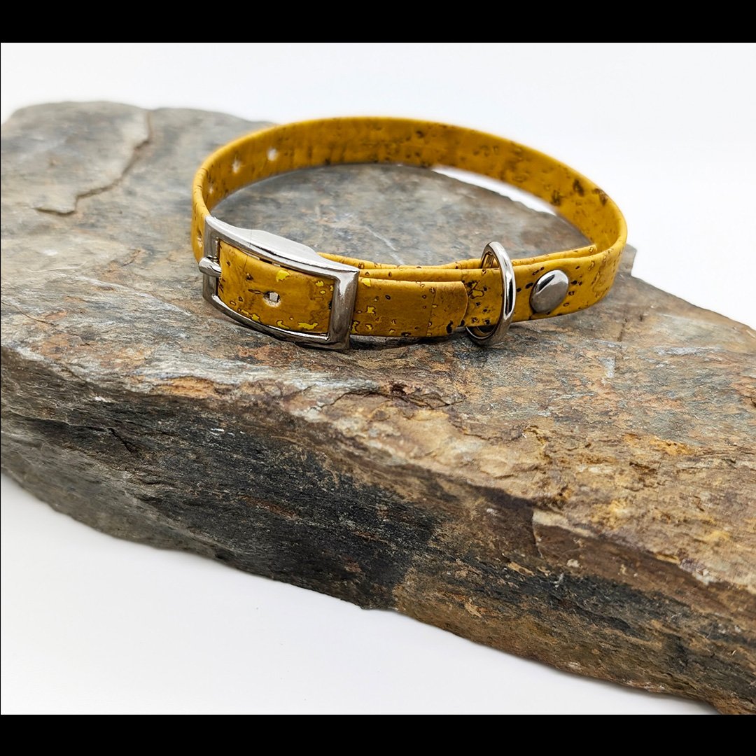 Yellow-BuckleCollar-Rock.jpg