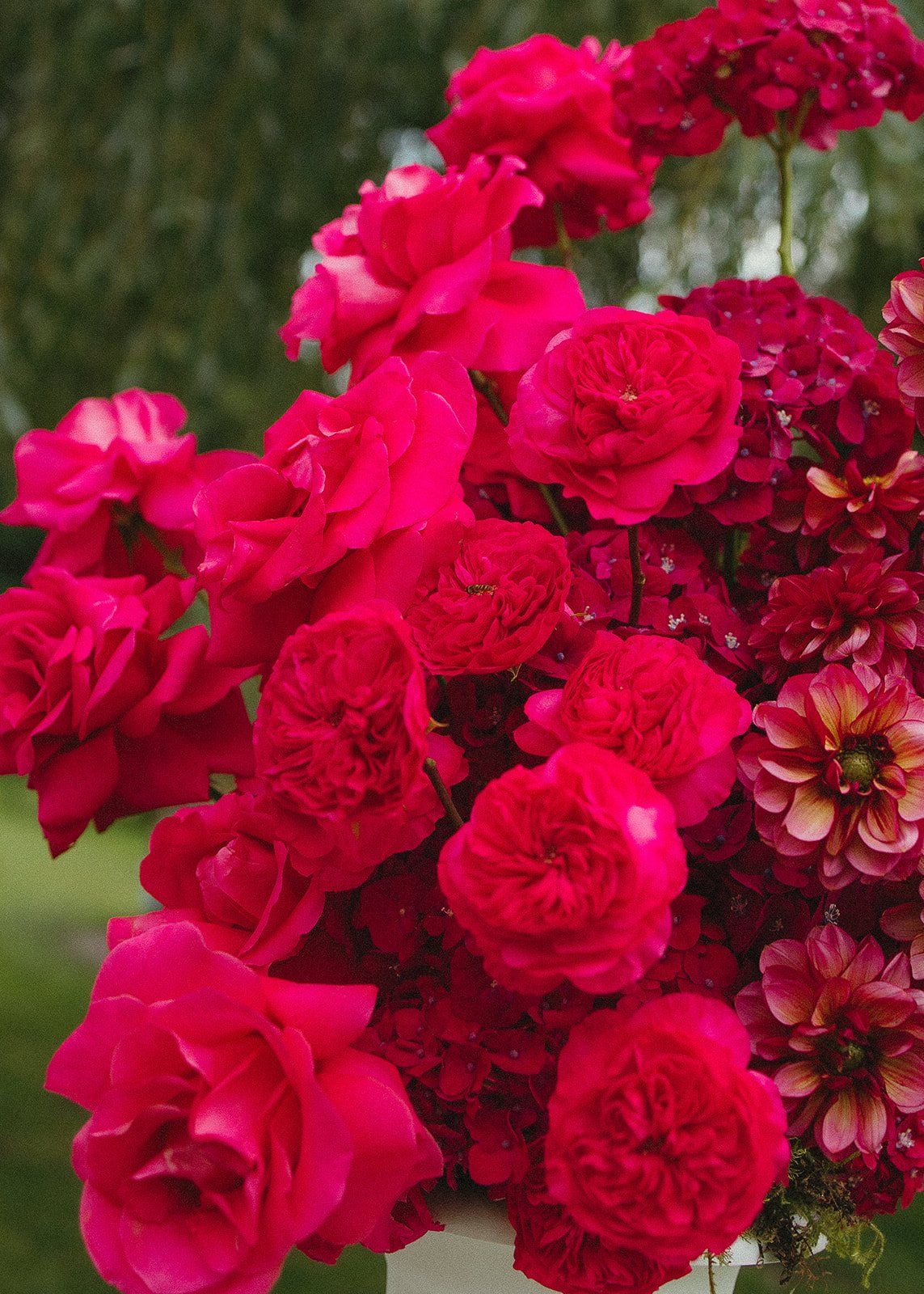 LexisLane Photos-8883.jpg