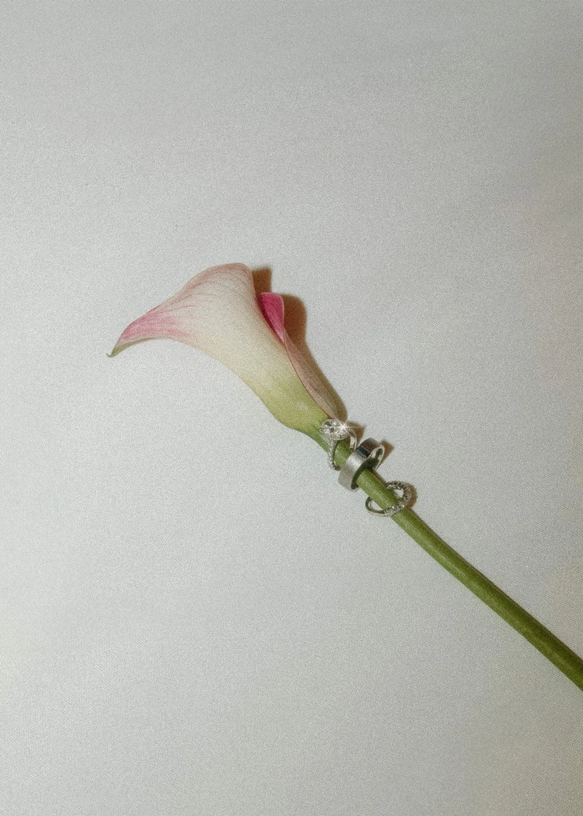 LexisLane Photos-2.jpg