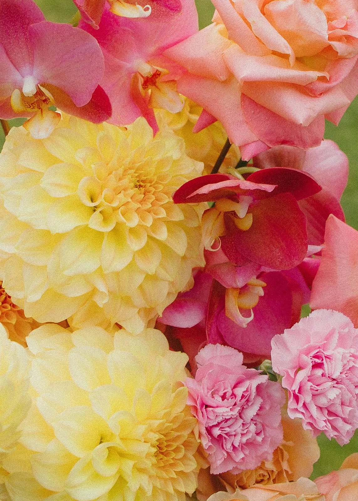 LexisLane Photos-8886.jpg