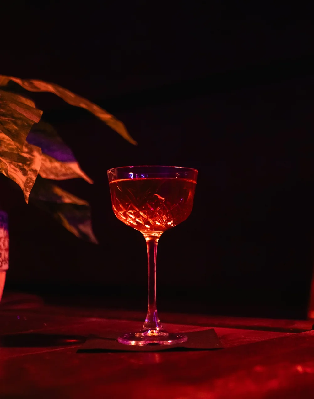 Bar photo 3
