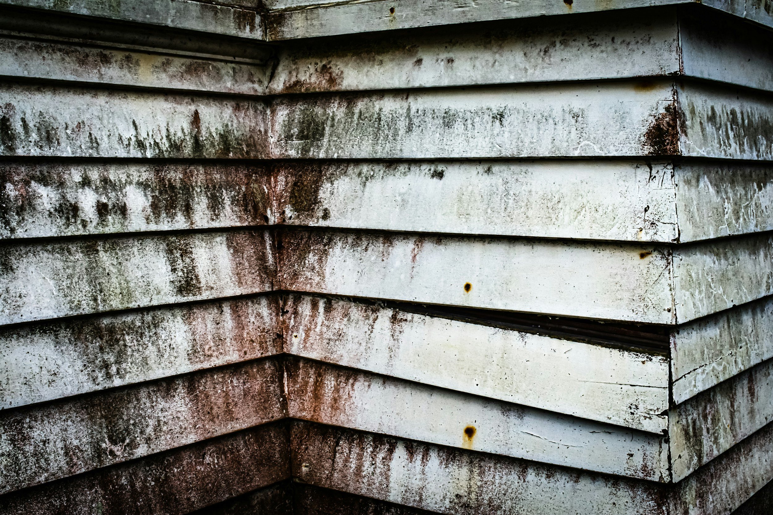 Smart Mould Monitoring for Workplaces