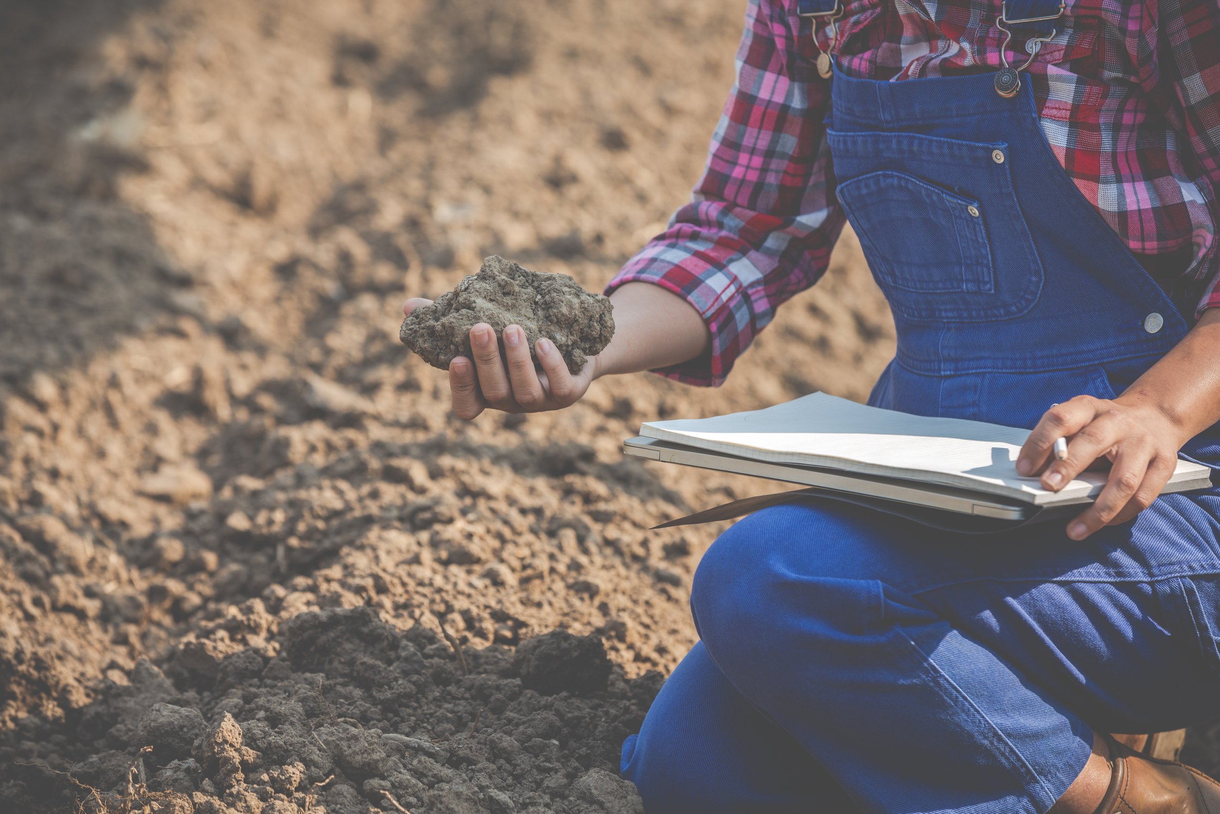 Contaminated Soil Testing in New Zealand: What You Need to Know