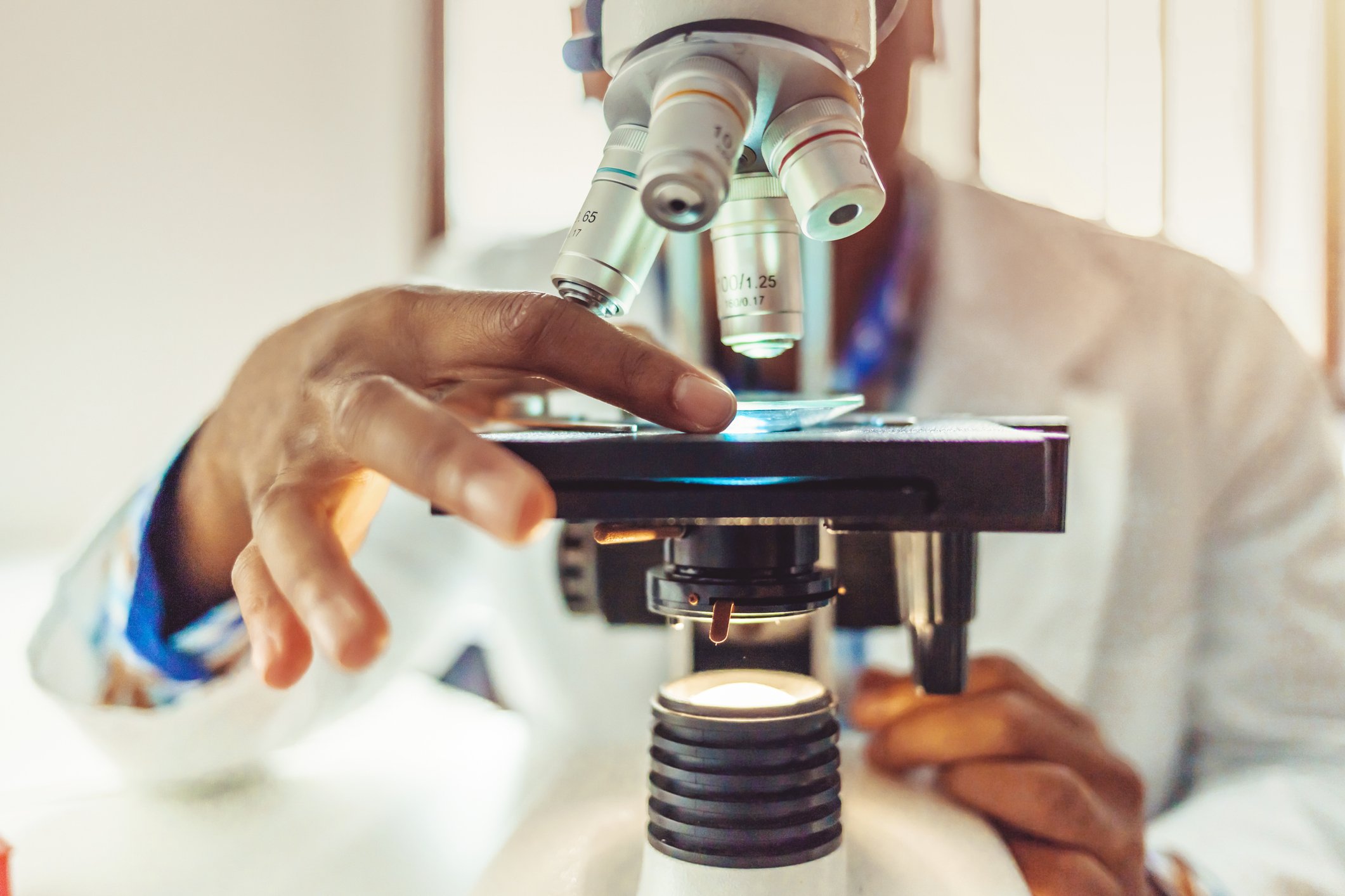 Understanding Asbestos Testing in New Zealand: How Laboratory Services Keep You Safe
