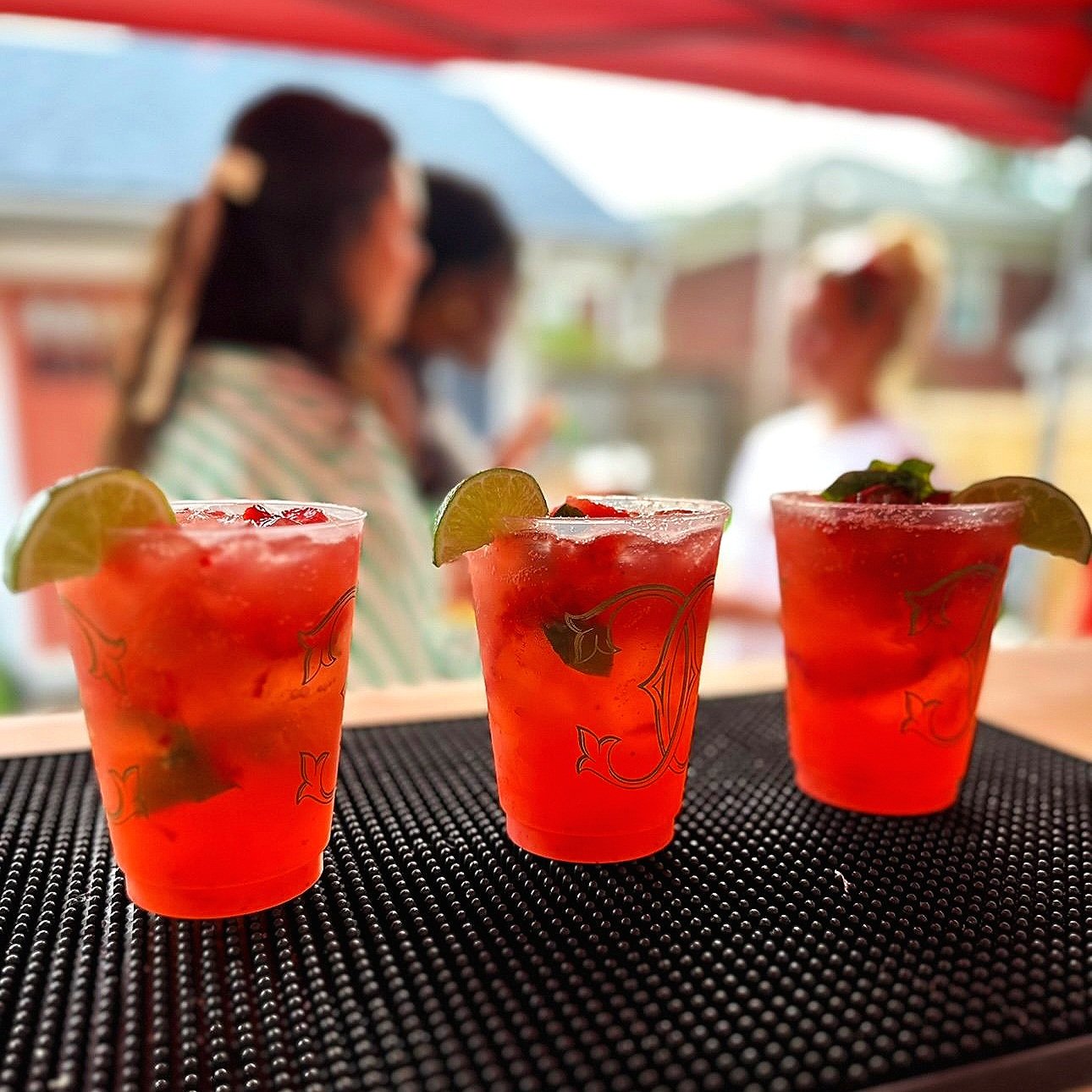 HOUSE WARMING EVENTS CELEBRATION CINCO DE MAYO BEER WINE LIQOUR