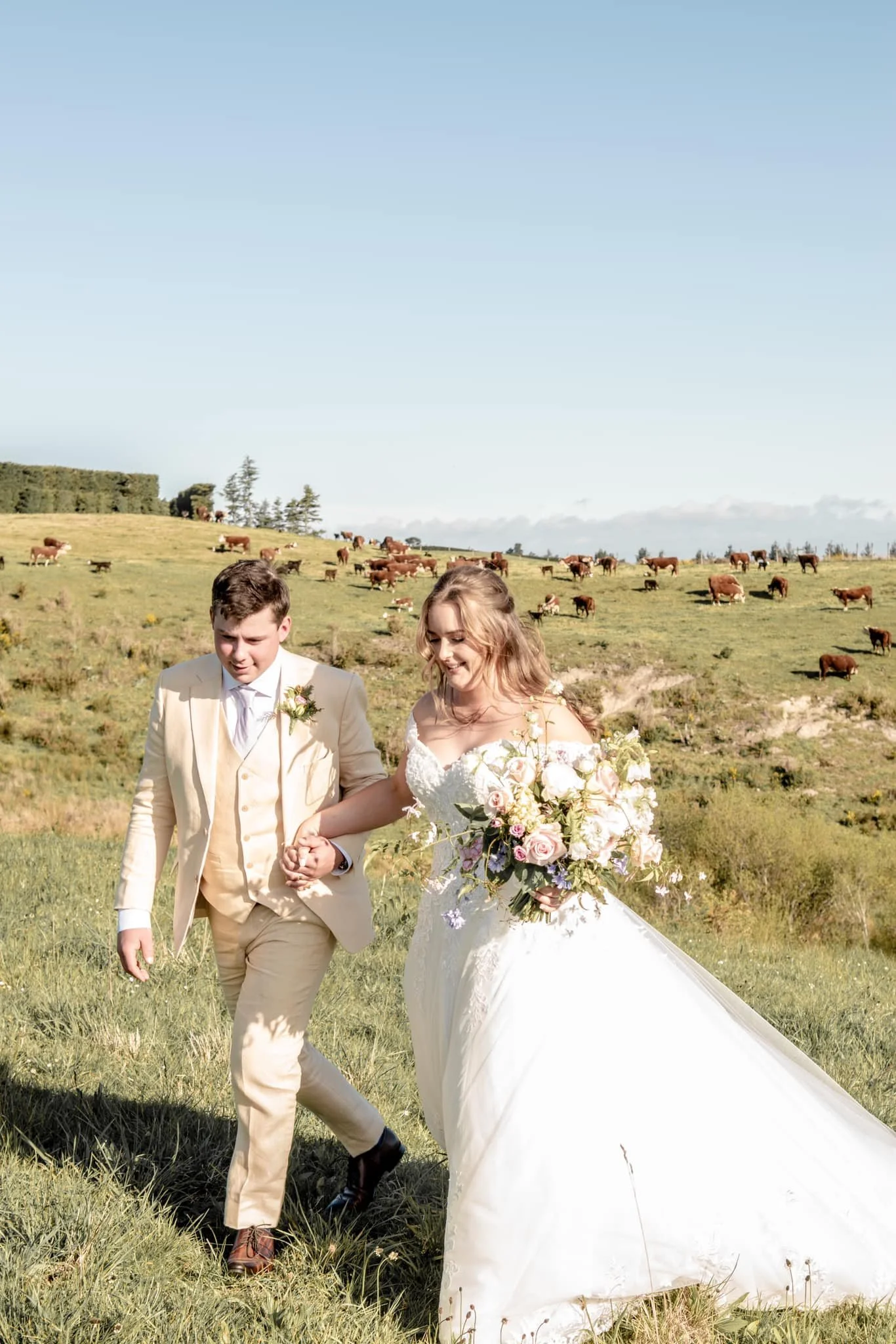 Ashlea Grove / Bradford Manor / Highview / Thornbury House 