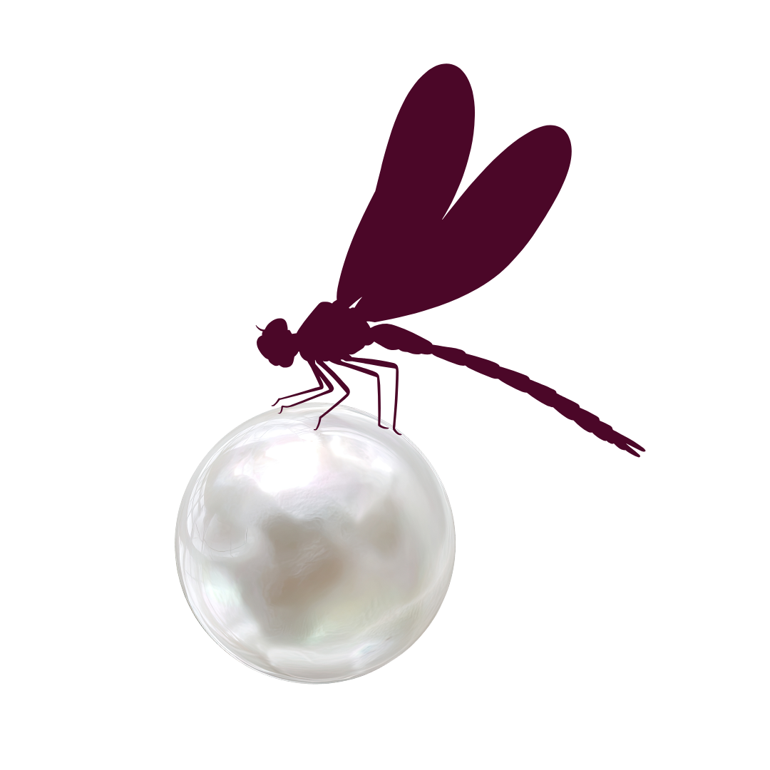 Le Luminarium de Diane