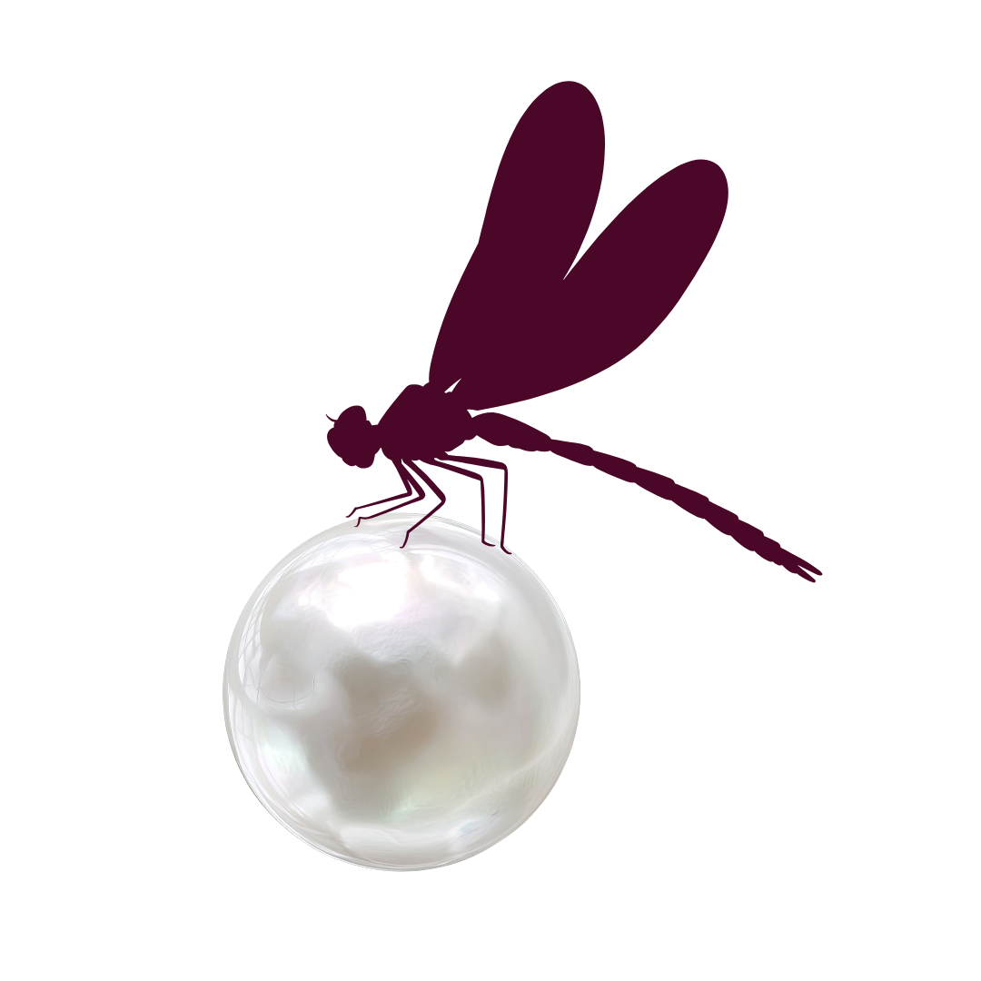 Le Luminarium de Diane