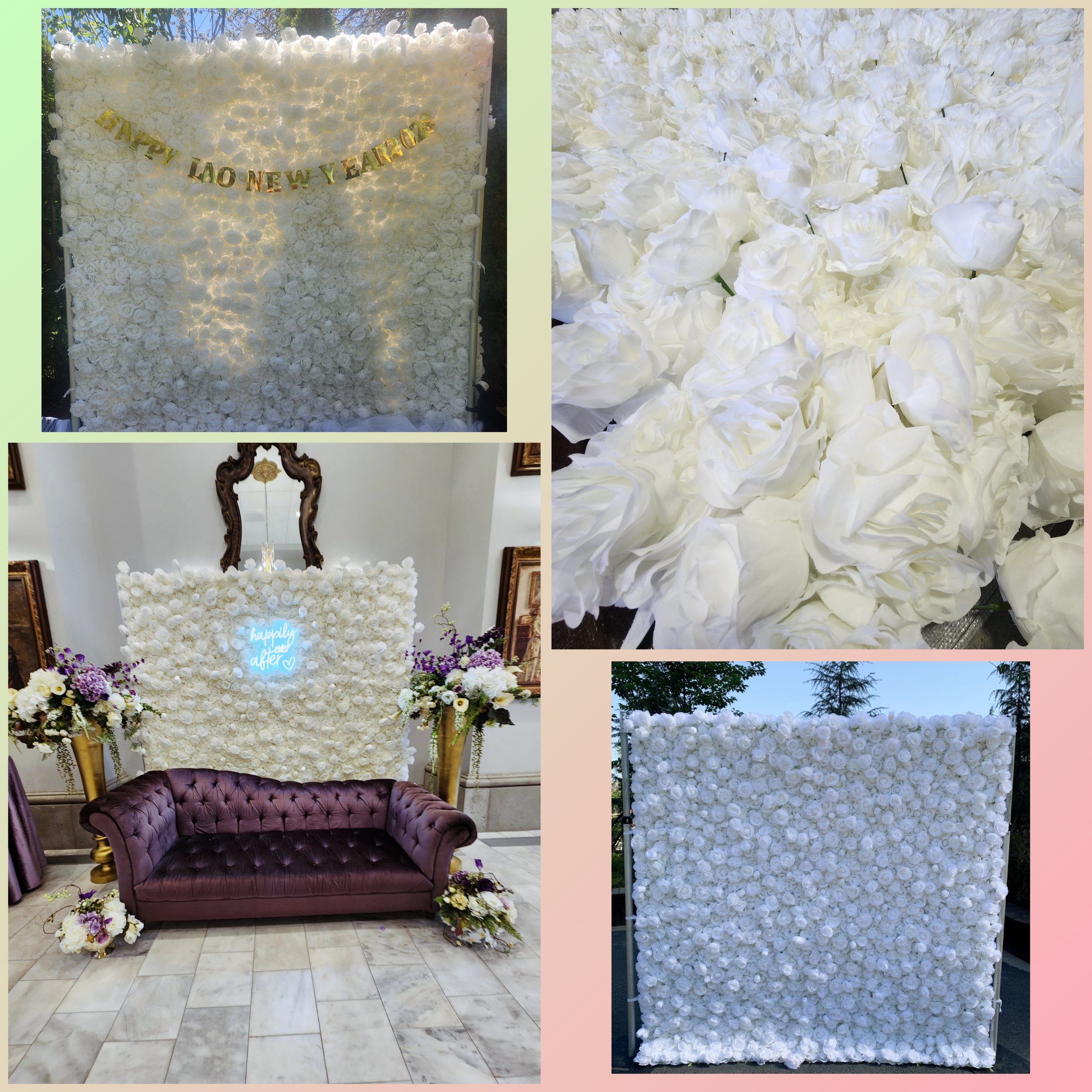 white backdrop collage.jpg