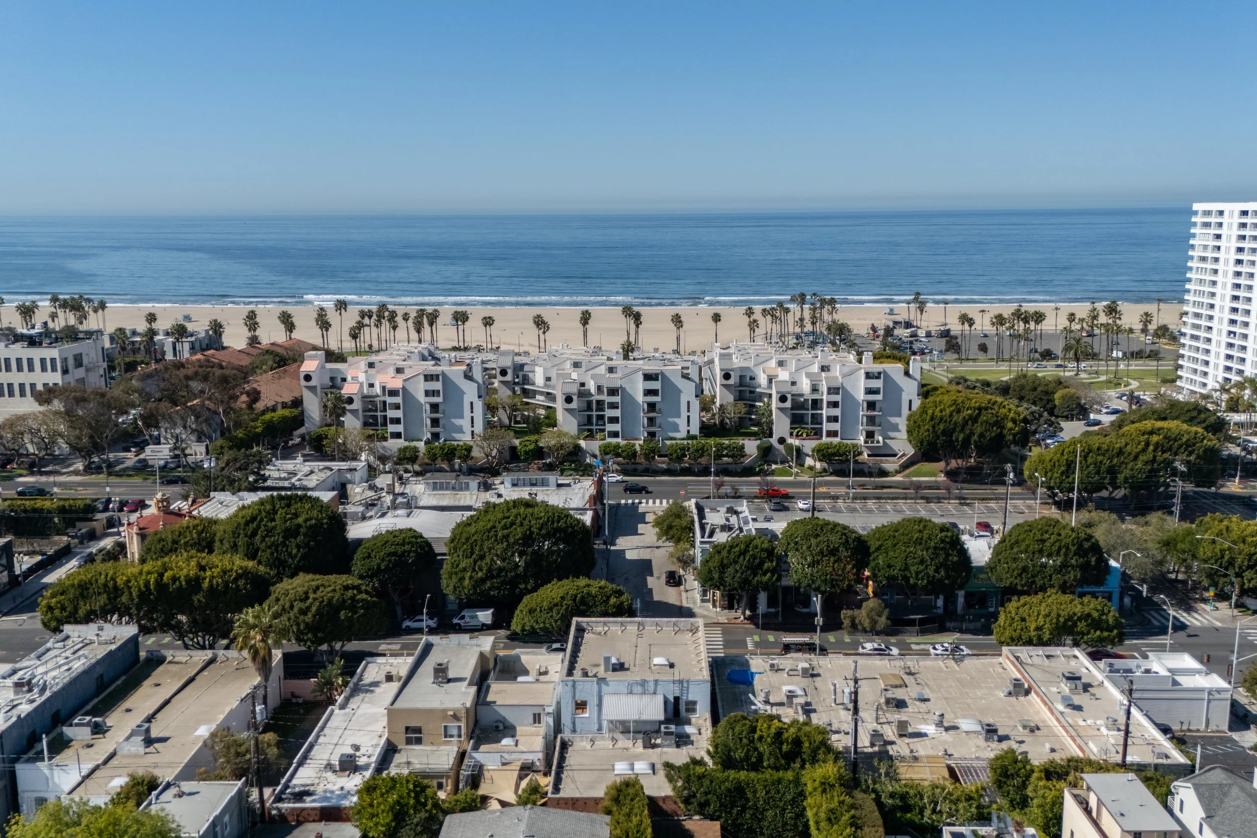 Aerial view of a coastal city with flat rooftops, green trees lining the streets, and a sandy beach with palm trees along the shoreline, ocean waves in the background under a clear blue sky.