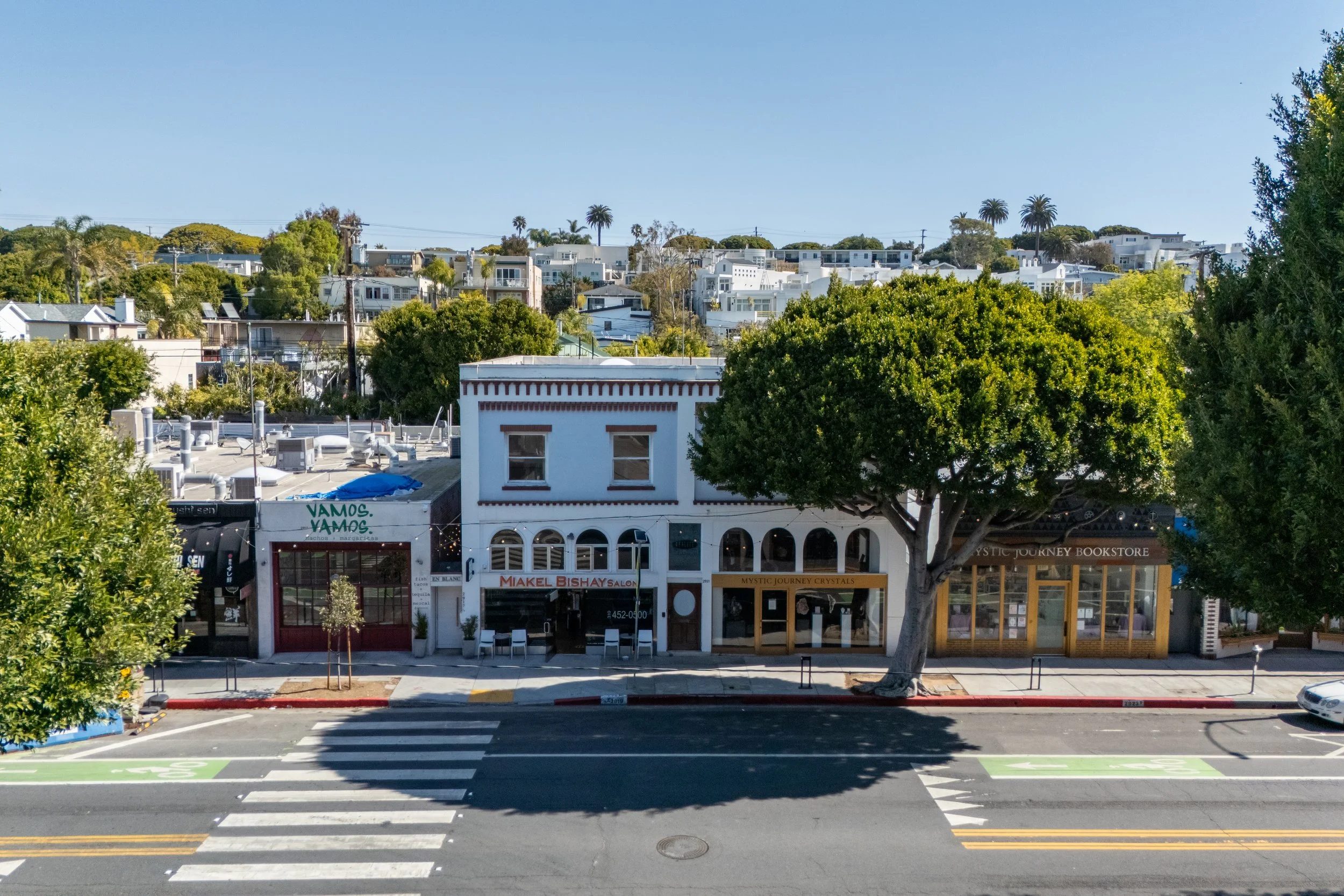 A street view in a small town with a crosswalk, trees along the sidewalk, and a row of shops including a bookstore and a salon, with a hillside of houses in the background under a clear blue sky.