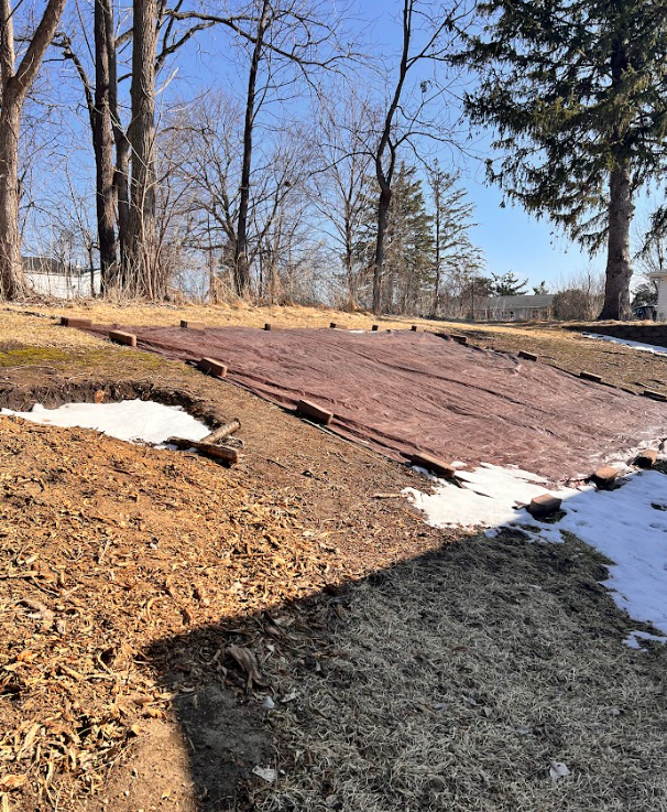 This space will have both a large wildflower garden as well as planter boxes for seasonal vegetables. 