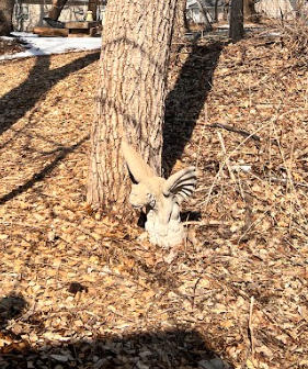 Two trees create a natural entrance to our walking path.  We've added a few stone gargoyles for some extra framing.