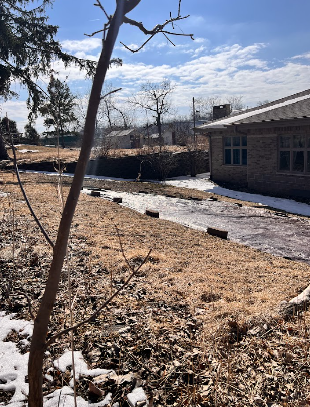 Our butterfly and wildflower garden will sit next to the planter boxes filled with seasonal vegetables. 