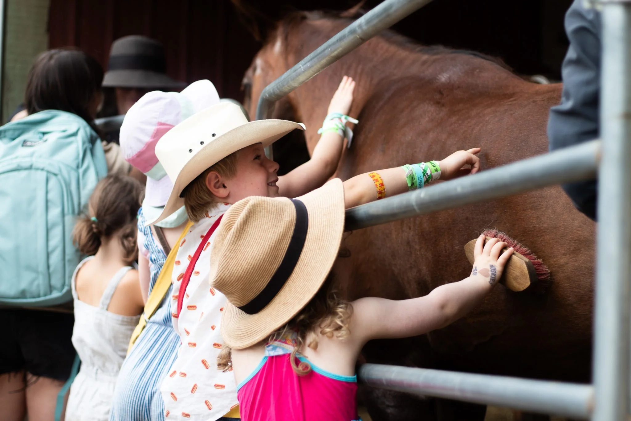 2025_cordelia_campbell-horses-galaxybarn-3-2048x1365.jpg