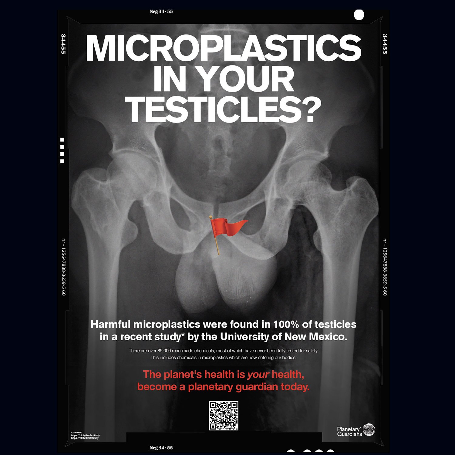 sq_testicles_final 2.jpg