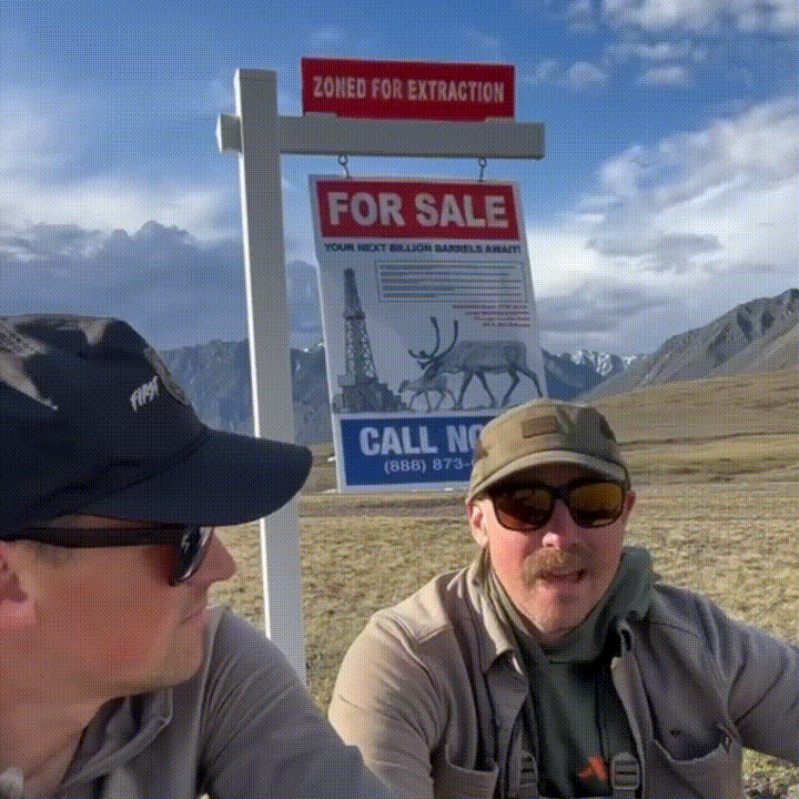 DESIGNING A CAMPAIGN TO STOP THE SALE OF PUBLIC LANDS 