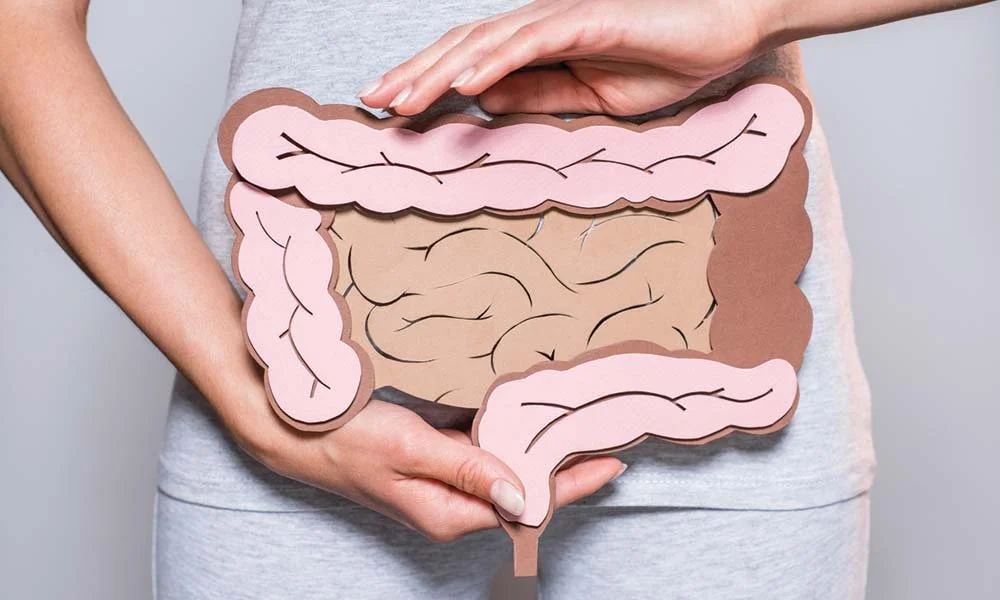 Healthy Gut Function: Why It Matters More Than You Think