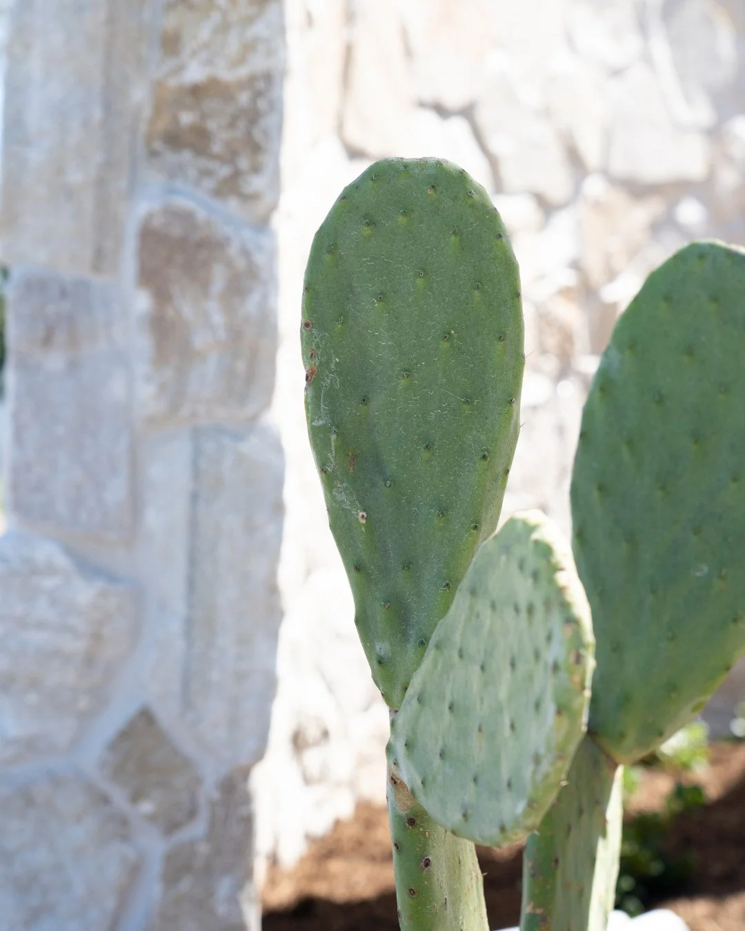 Treatment should never be one size fits all.

Cycle phase matters. Stress levels matter. Surgical history matters. So does how you&rsquo;ve been sleeping this week.

That&rsquo;s why we ask questions before we start. The consultation shapes everythin