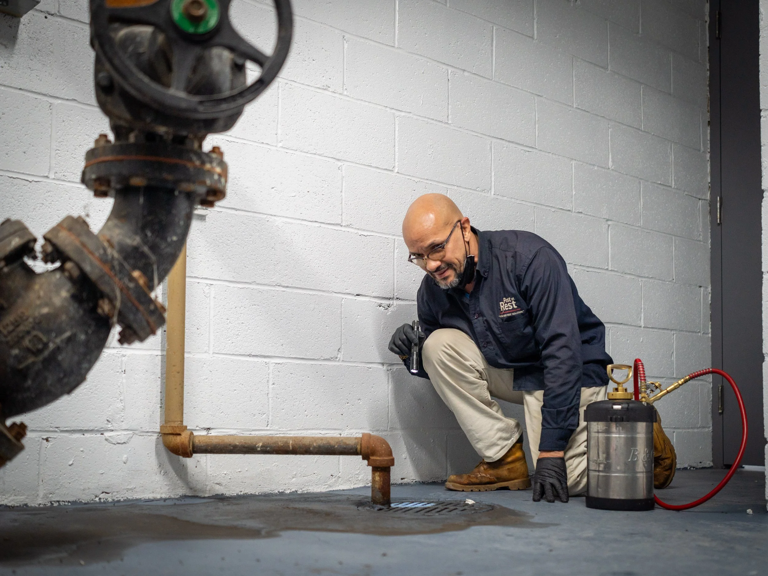 Government Building Pest Control New York | Pest at Rest | Public Pest ...