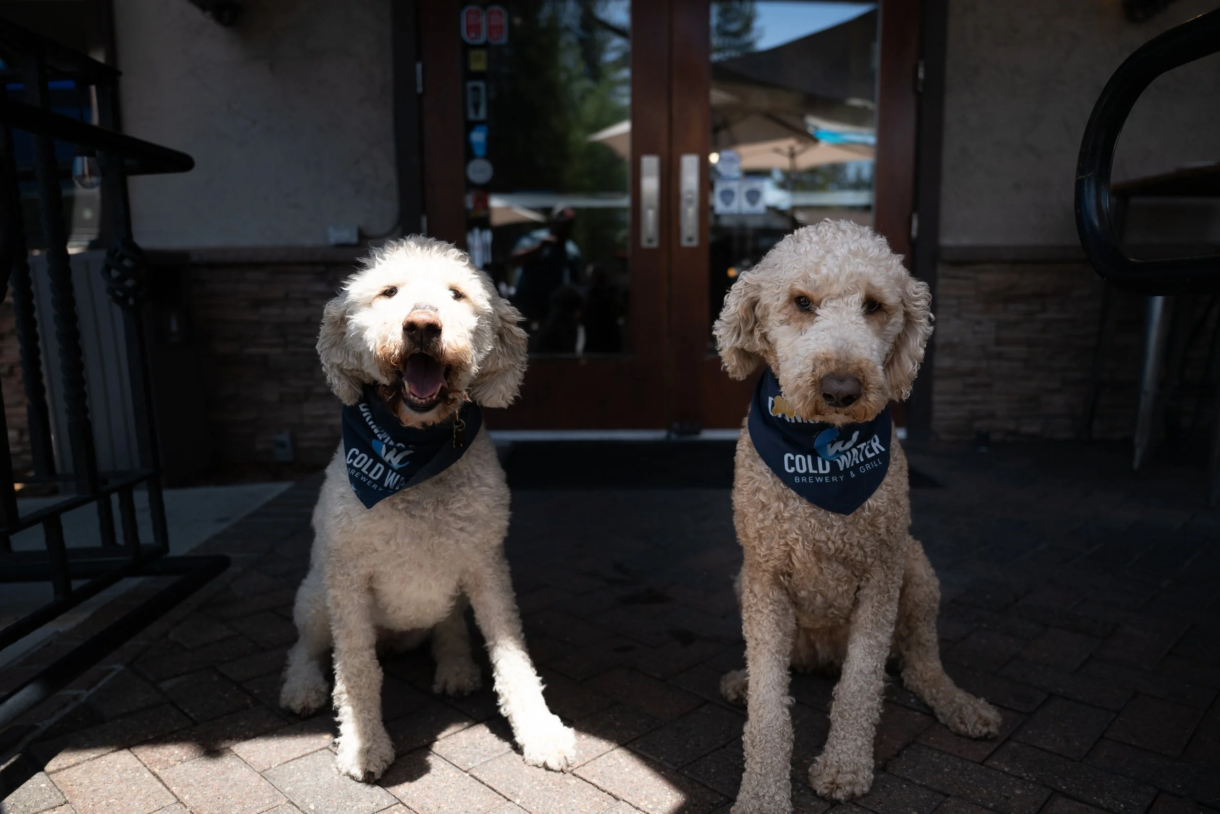 Patio Season Is Back at Cold Water Brewery &amp; Grill