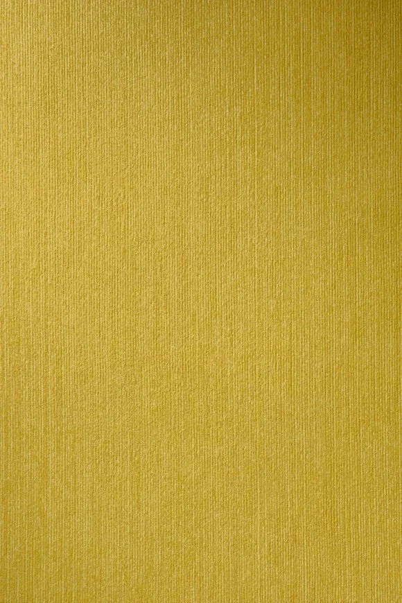 Canary – 34512A.jpg