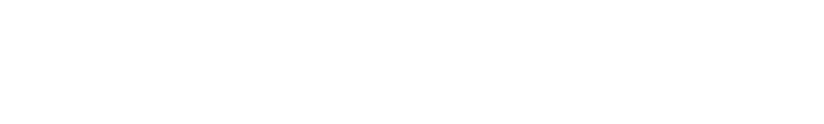 The Washington Post Logo