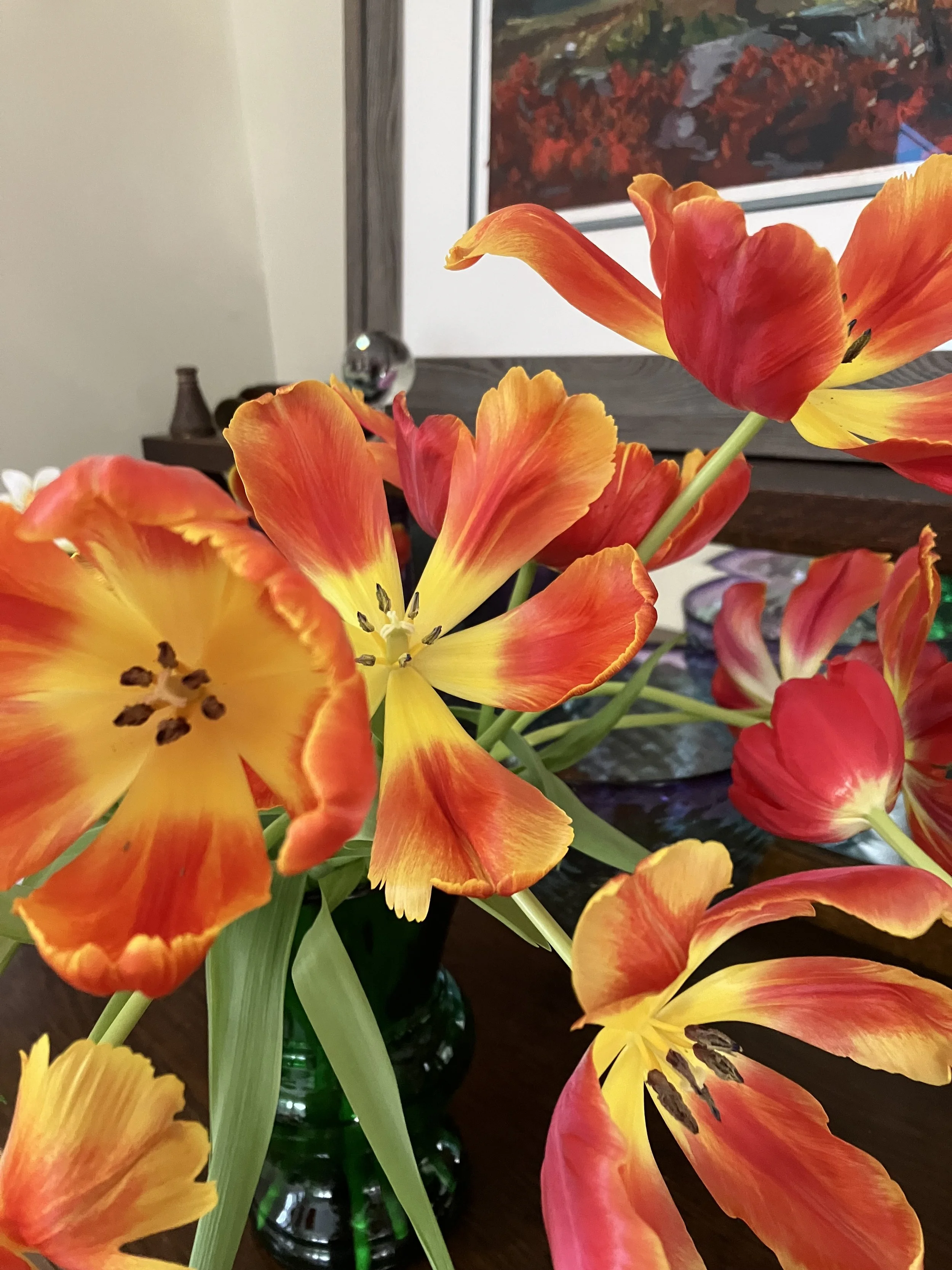 IMG_4406.jpeg
