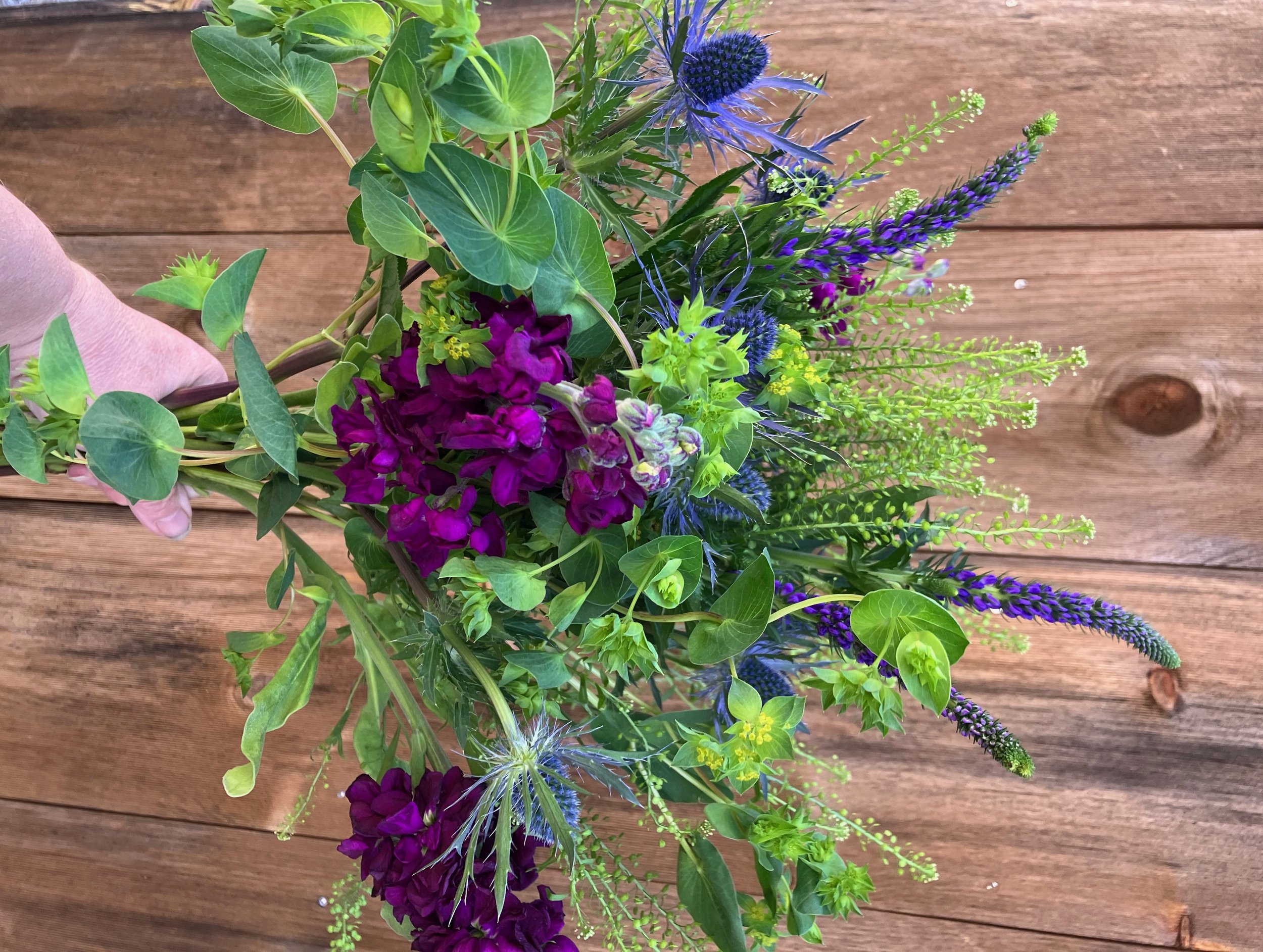 summer bouquet.jpeg