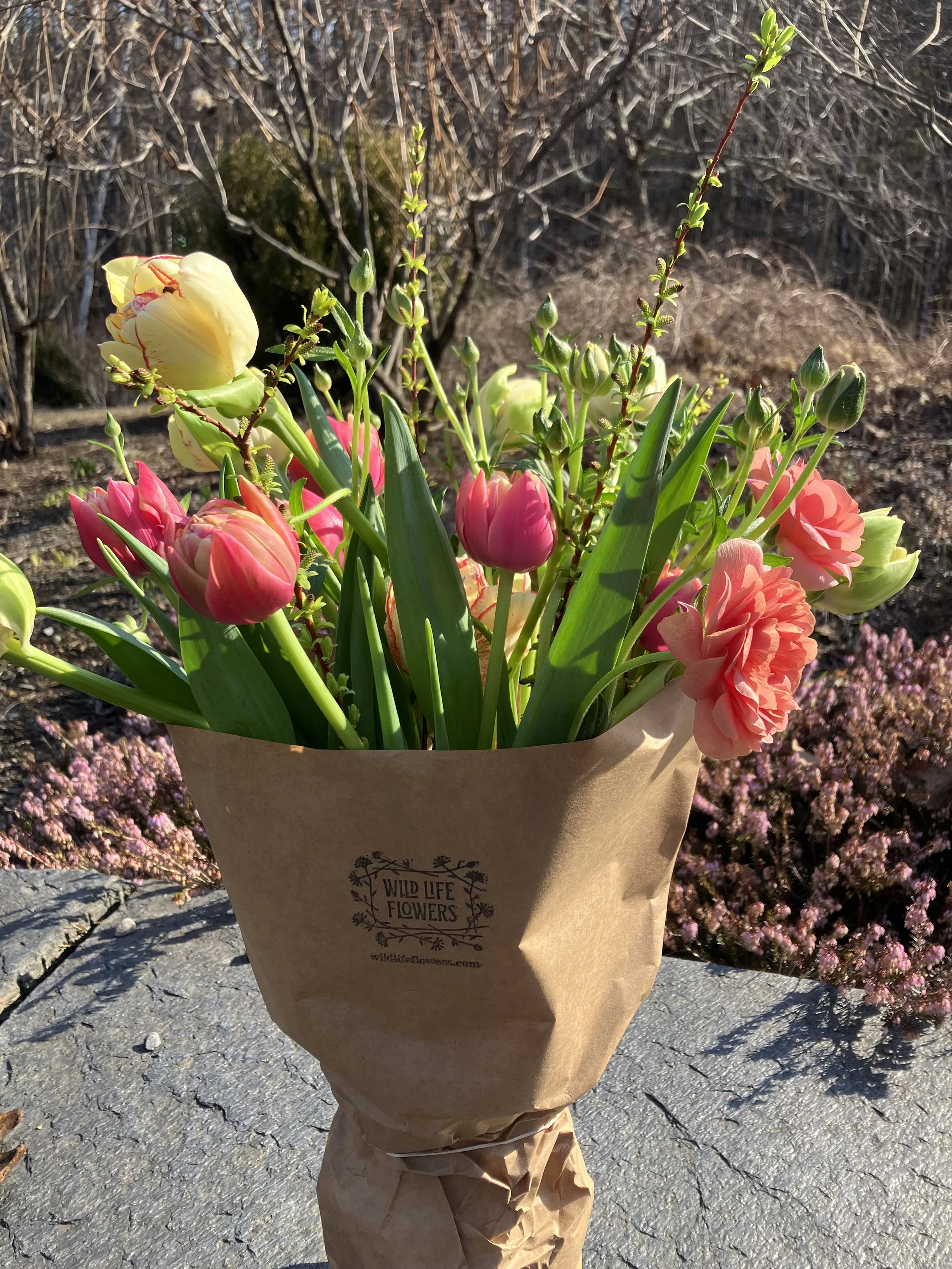 IMG_4553.jpeg (Copy)