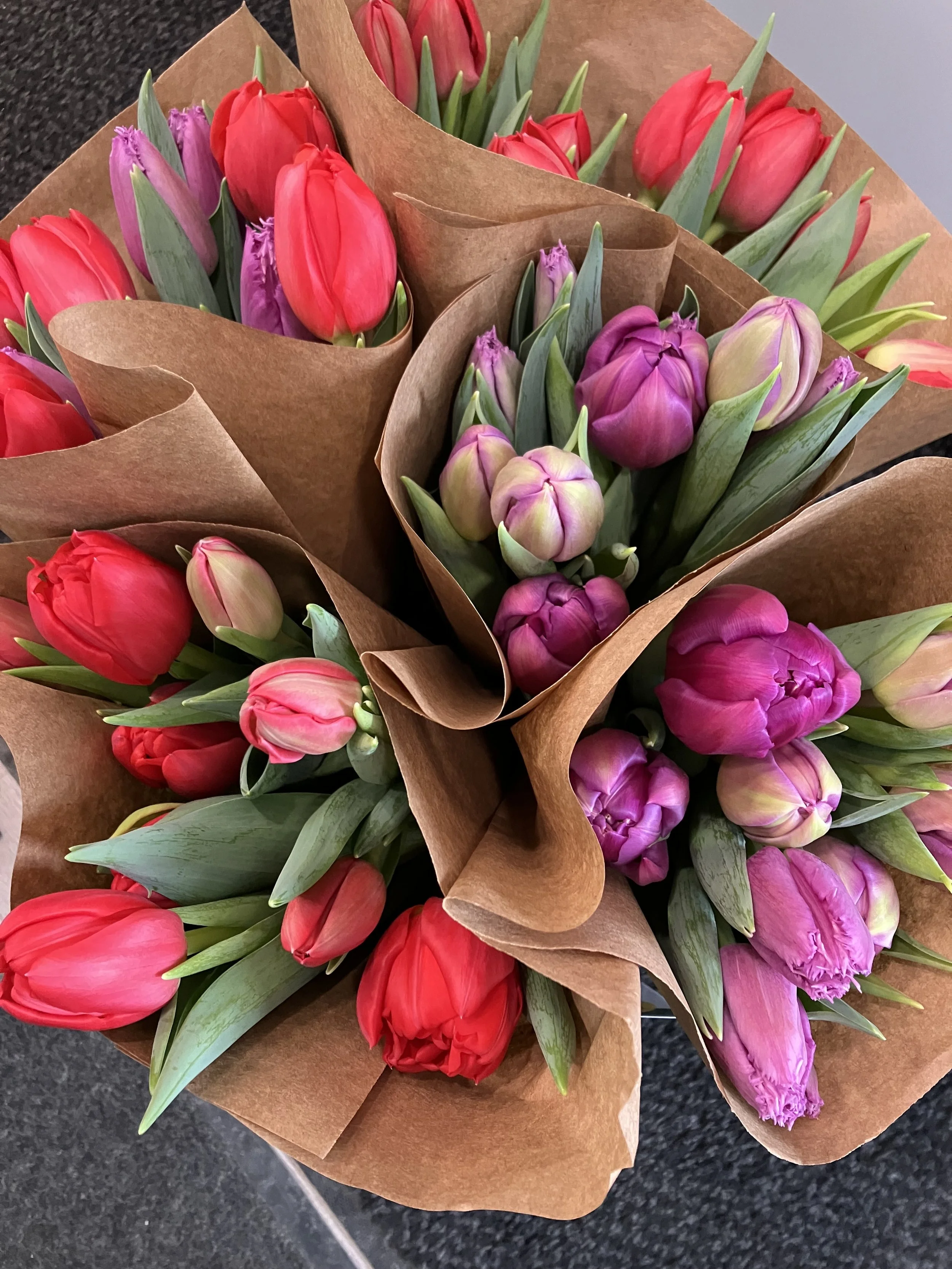Tulips by the Bunch (Returning in 2027)