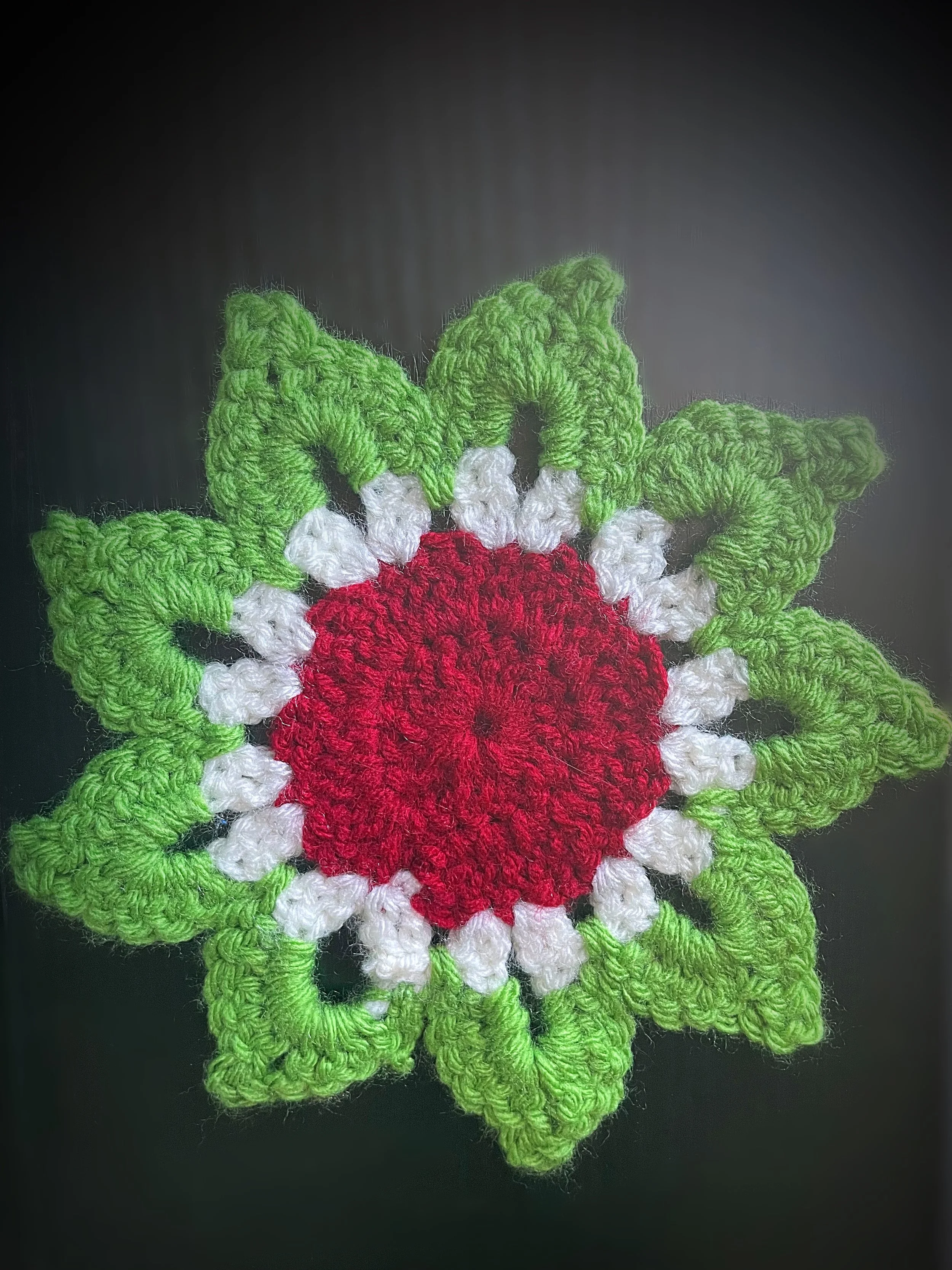 Green & Red Flower Crochet Coaster