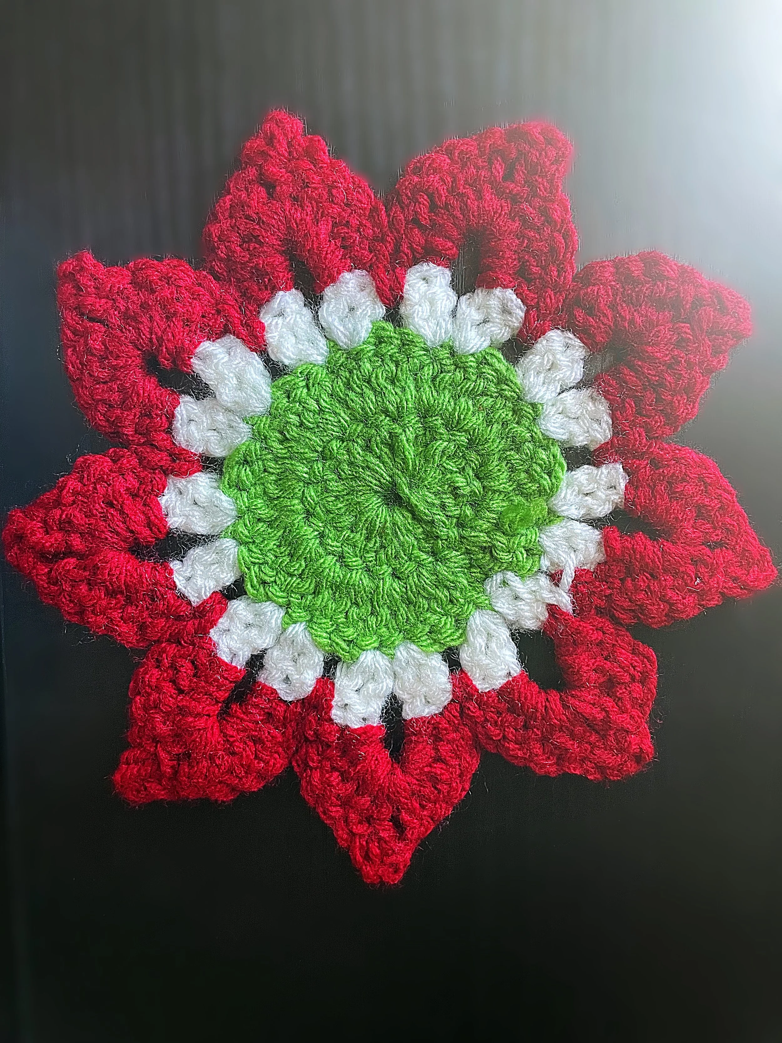 Red & Green Flower Crochet Coaster