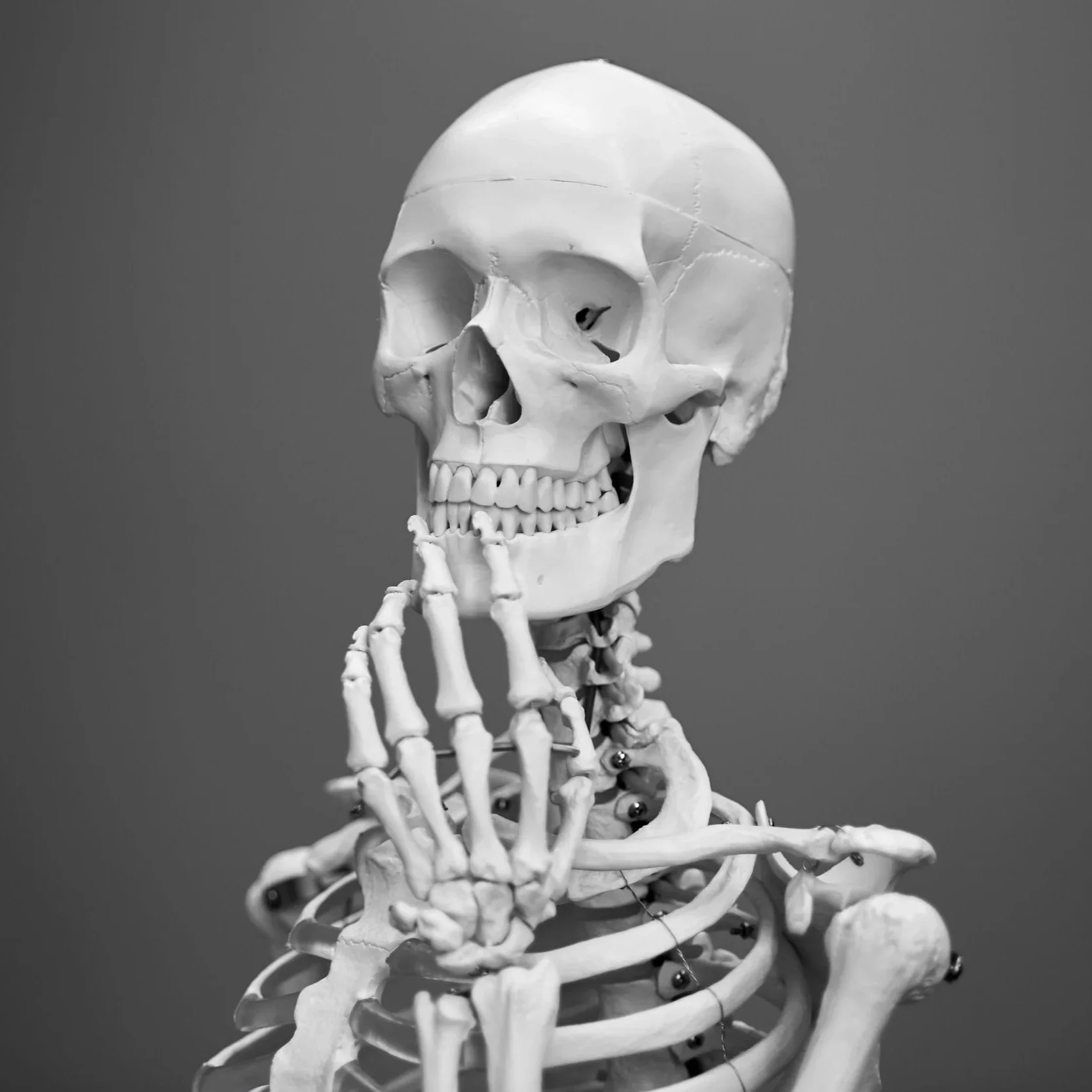 Decoding Your Pain: Therapeutic vs. Sports vs. Deep Tissue Massage in Eugene
