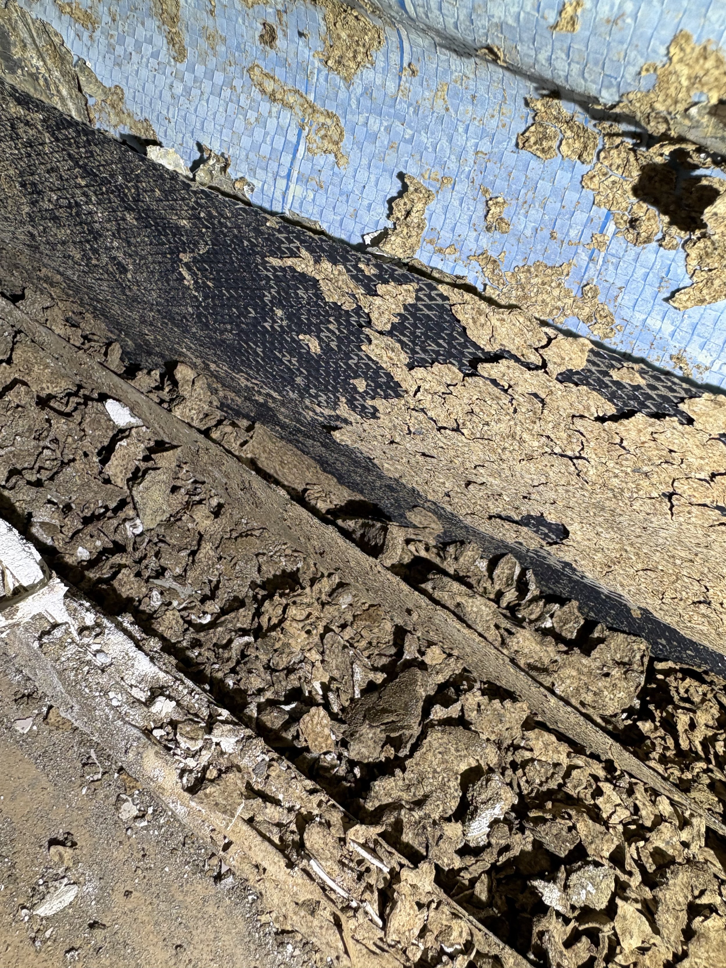 Termite damage Tallai QLD 4.jpeg