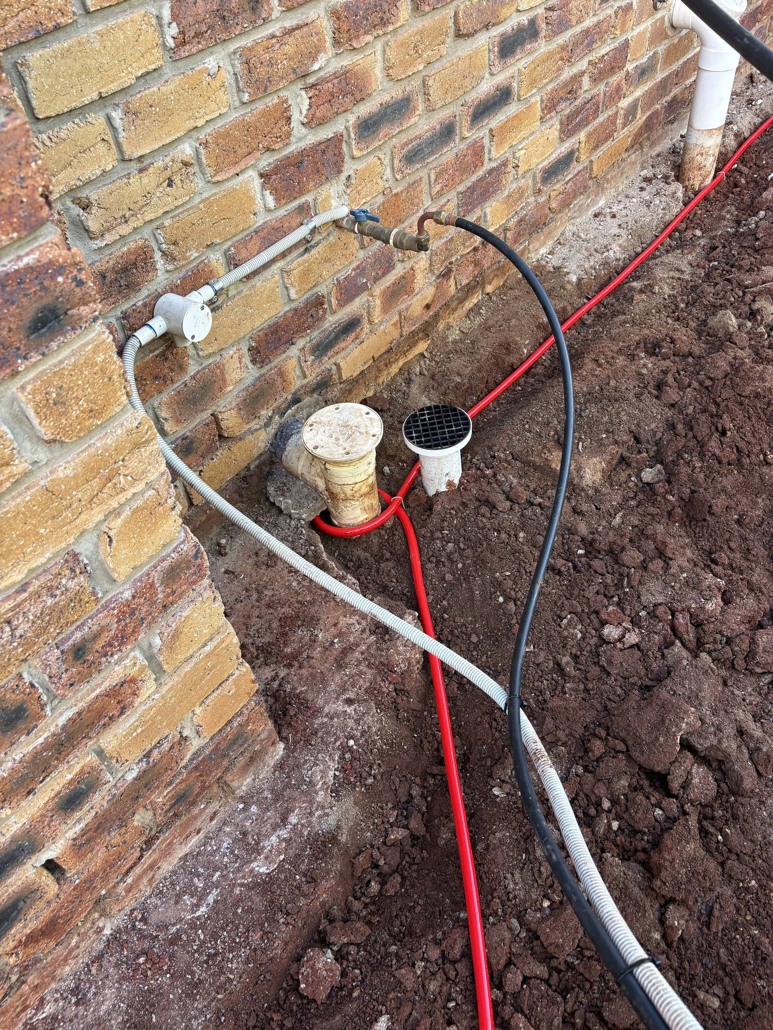 Termites-Ormiston -QLD-Pestlinc-2.jpeg
