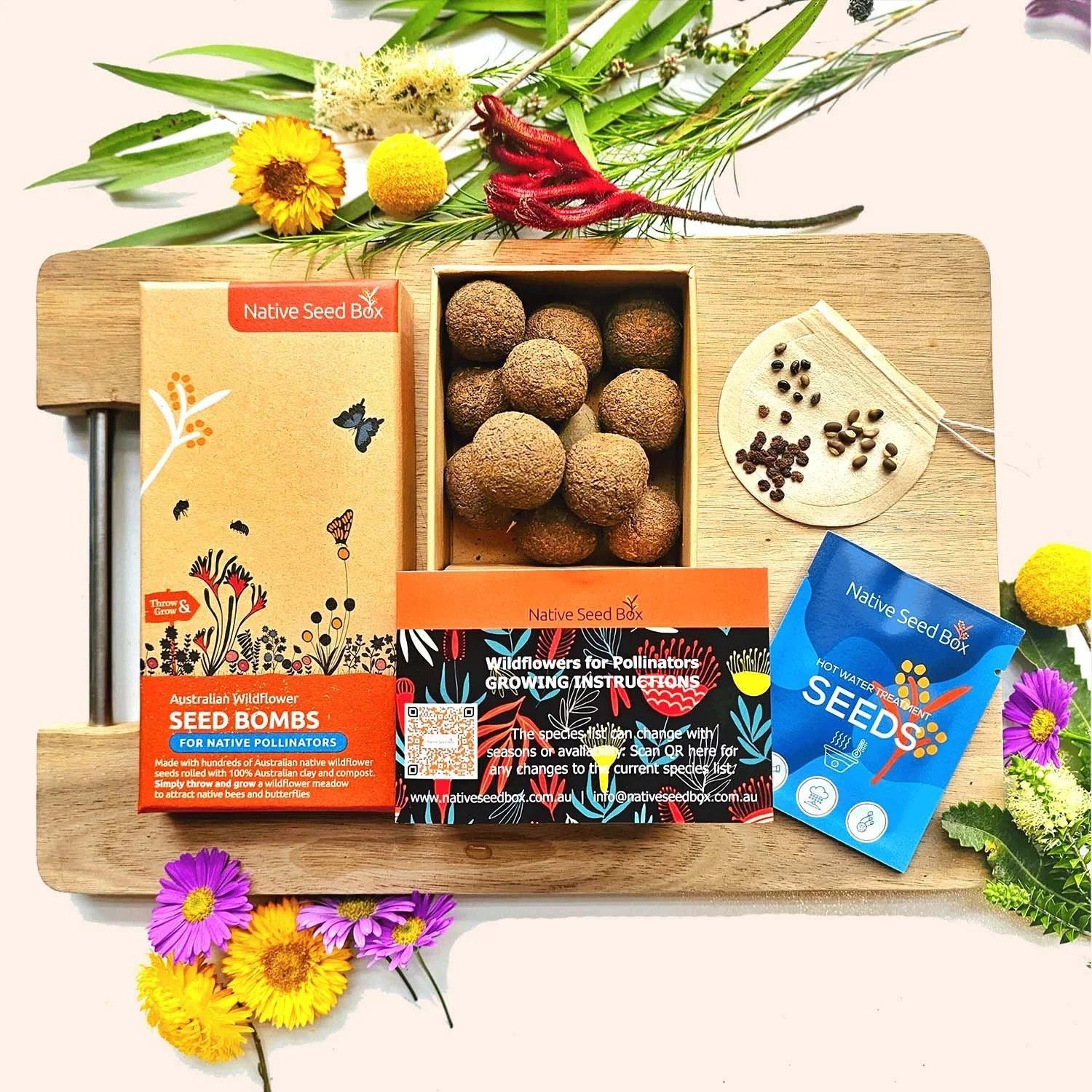 Wildflowers for native pollinators seed bombs, open box with seed balls, seeds and flowers