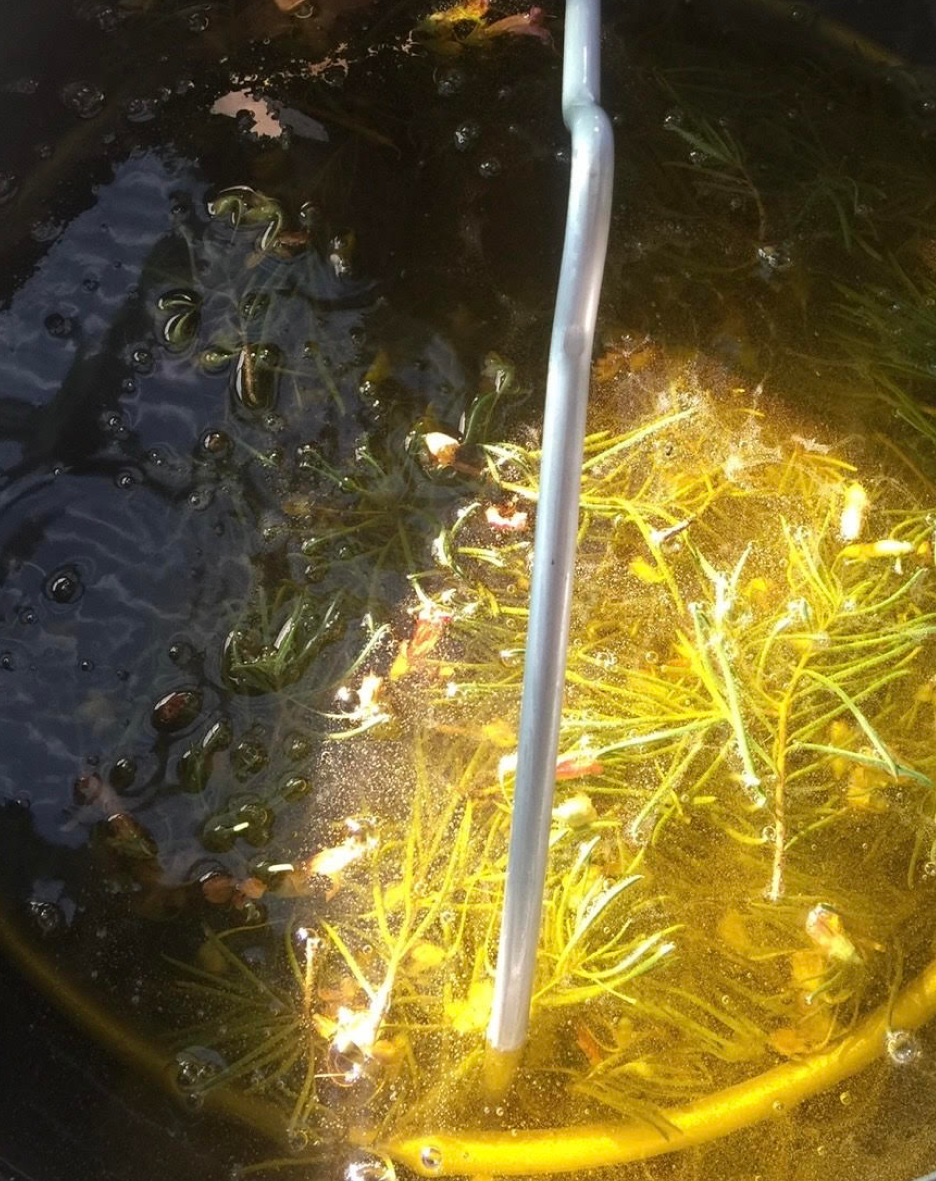 Herbs infusing in golden oil, stirred with a metal spoon, close-up