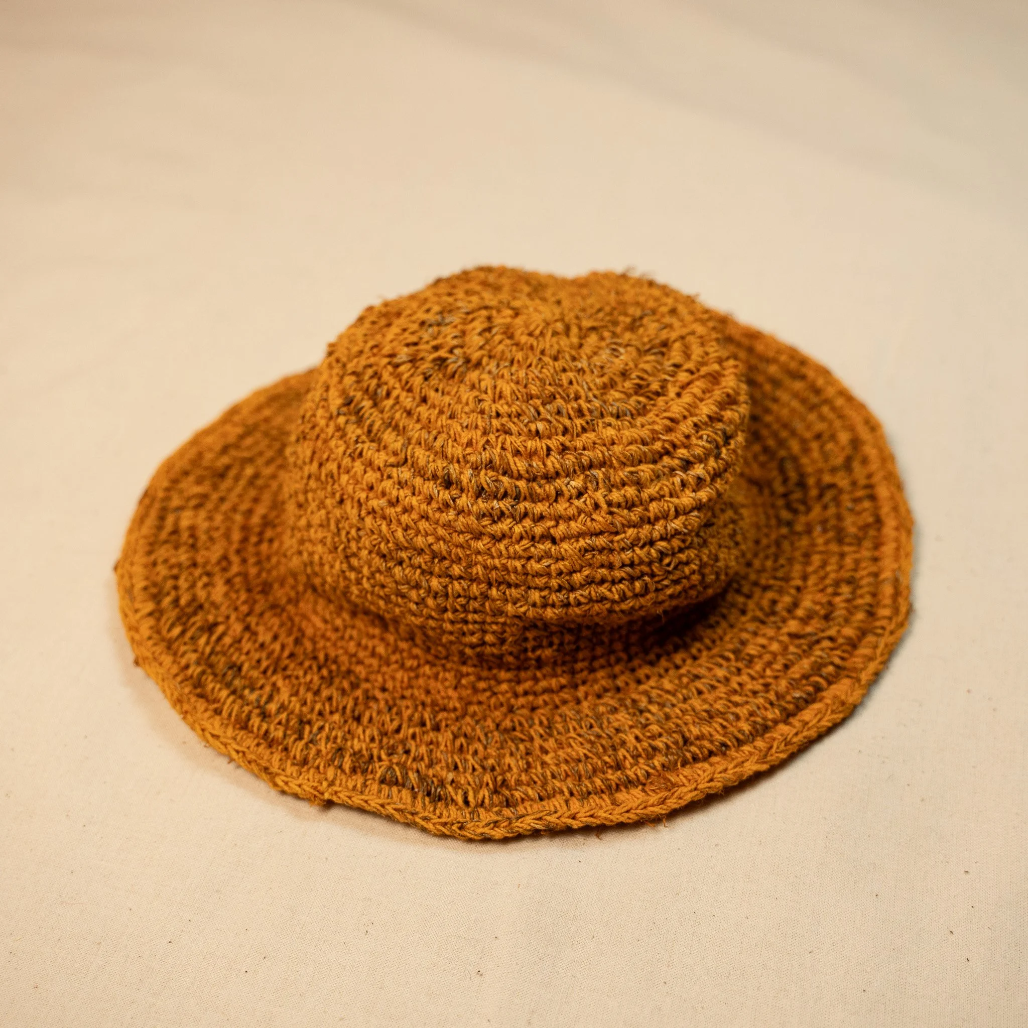 DSC02251.jpg