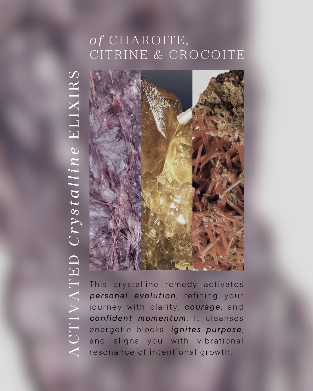 Evolve perfume elixir information graphic on charoite, citrine and crocoite crystals