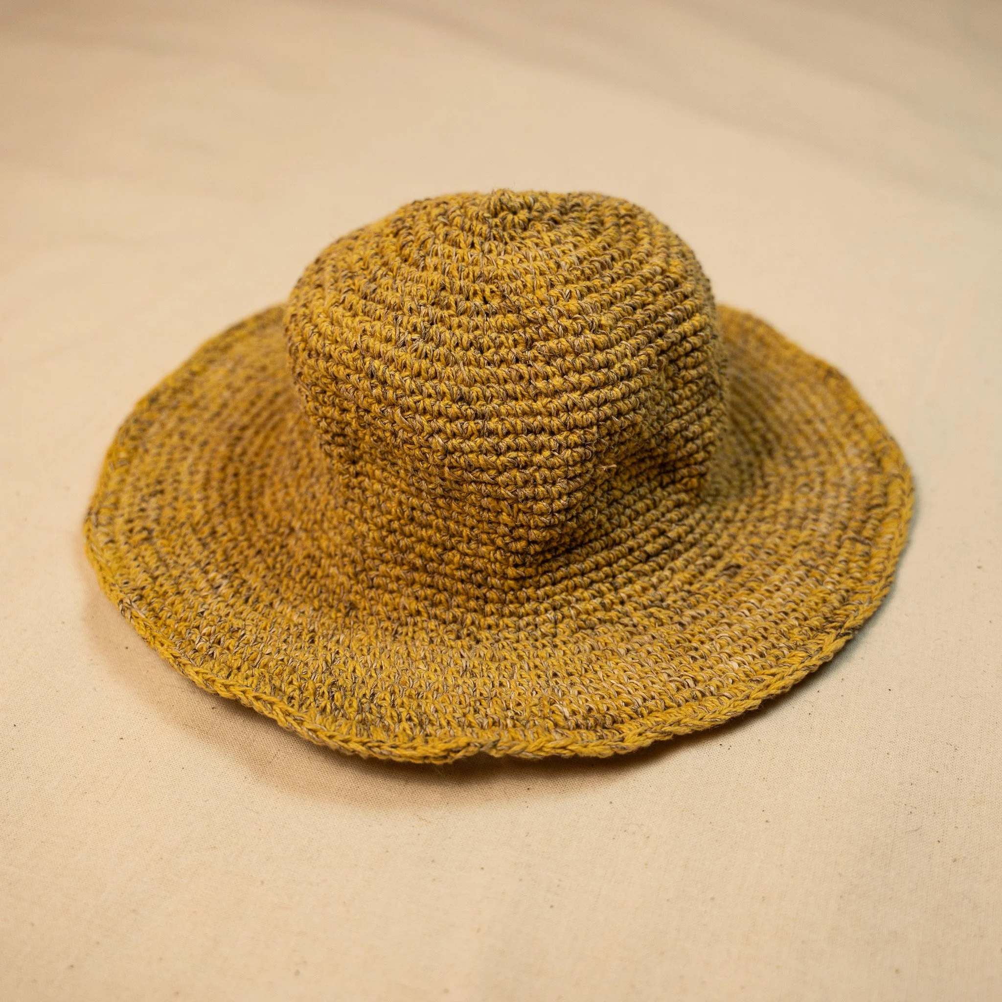 DSC02255.jpg