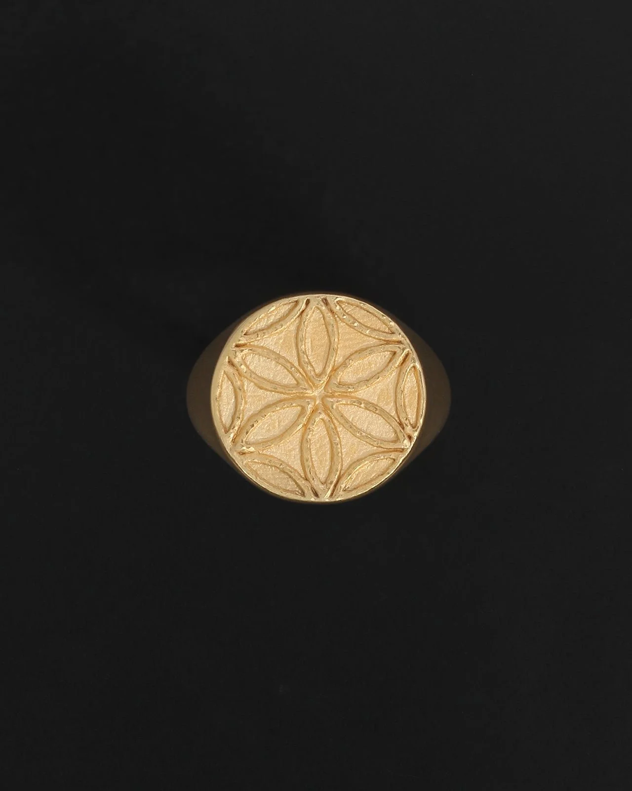 03_temple-of-the-sun-seed-of-life-seal-ring-gold-vermeil-1168058845.jpg