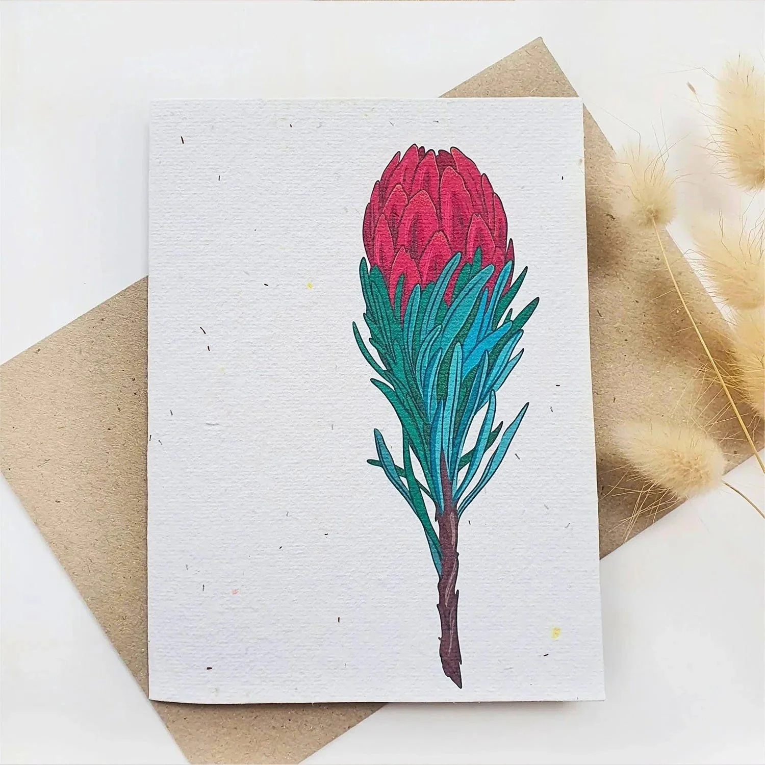 Plantable native seed card in waratah design, with envelope and dried grasses