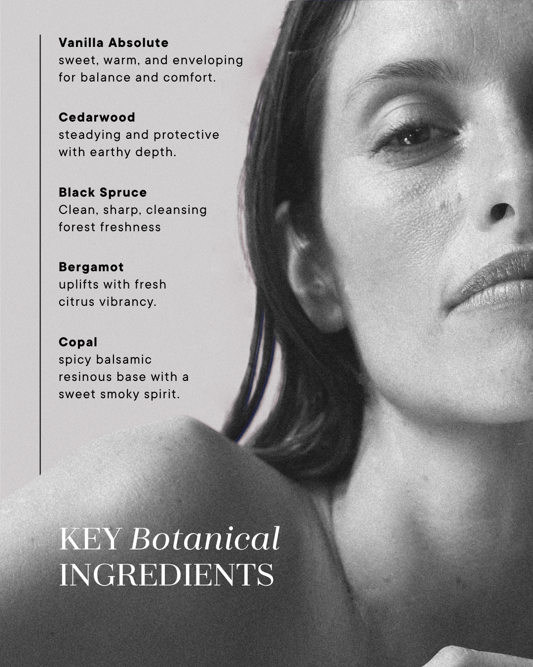 Evolve perfume elixir key botanical ingredients list beside a black and white portrait