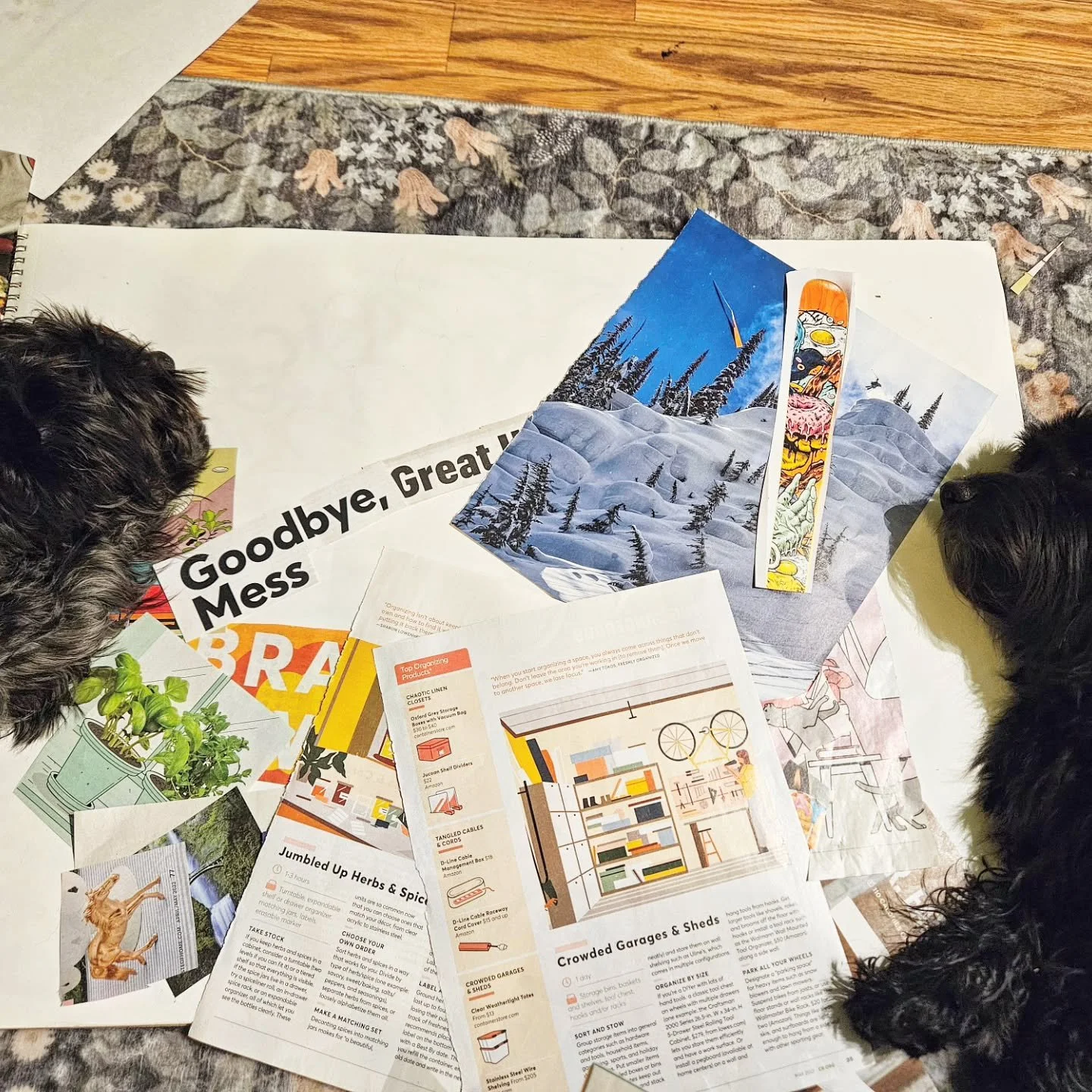 Manifesting with mindfulness&mdash;and a little help from my furry assistants! 🖤✨ As I create my vision board for Gothic Sage Therapy &amp; Designs, my dogs remind me to stay present and enjoy the process. Creativity, intention, and relaxation all g