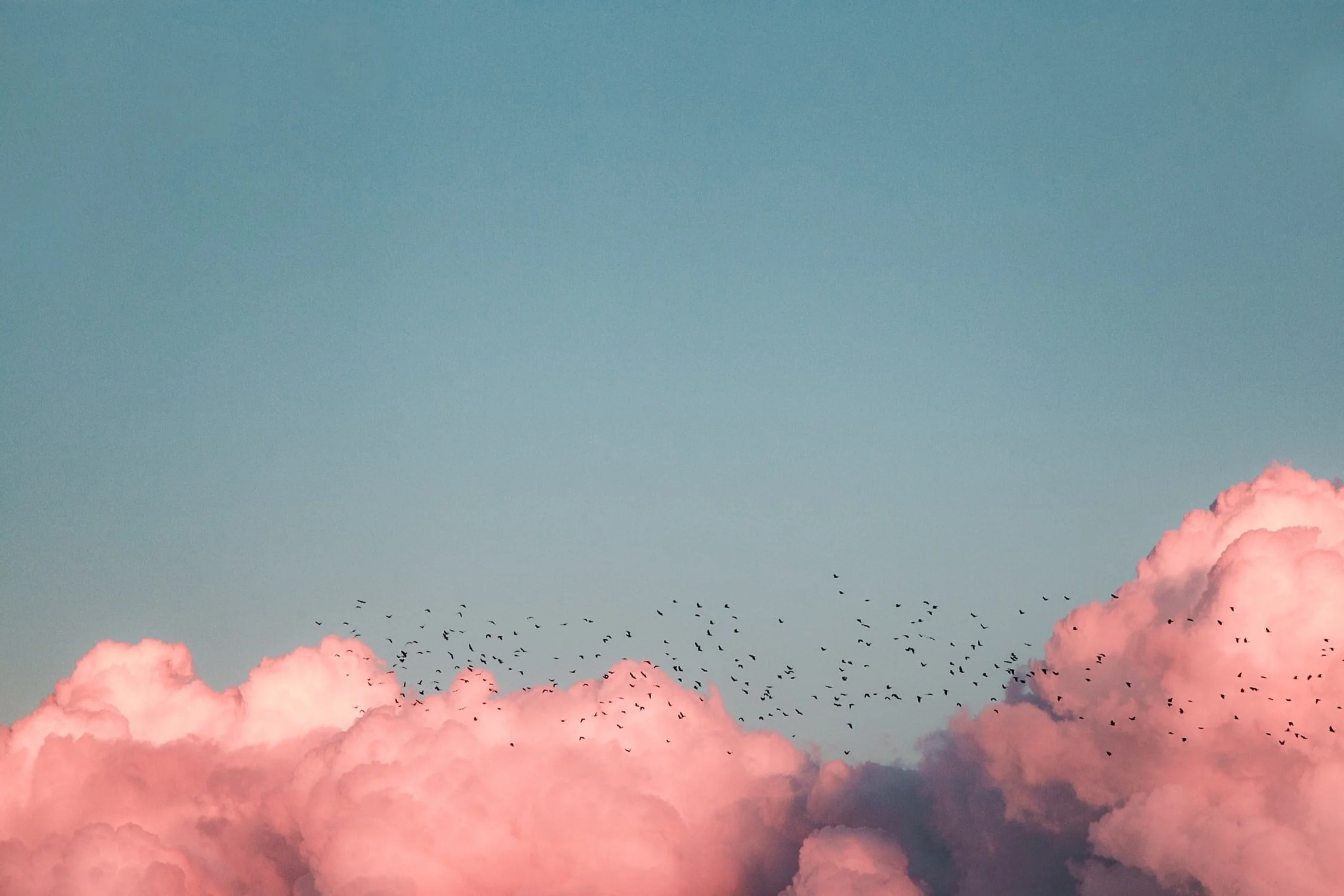 FAQs — Weisman Medical Services LLC