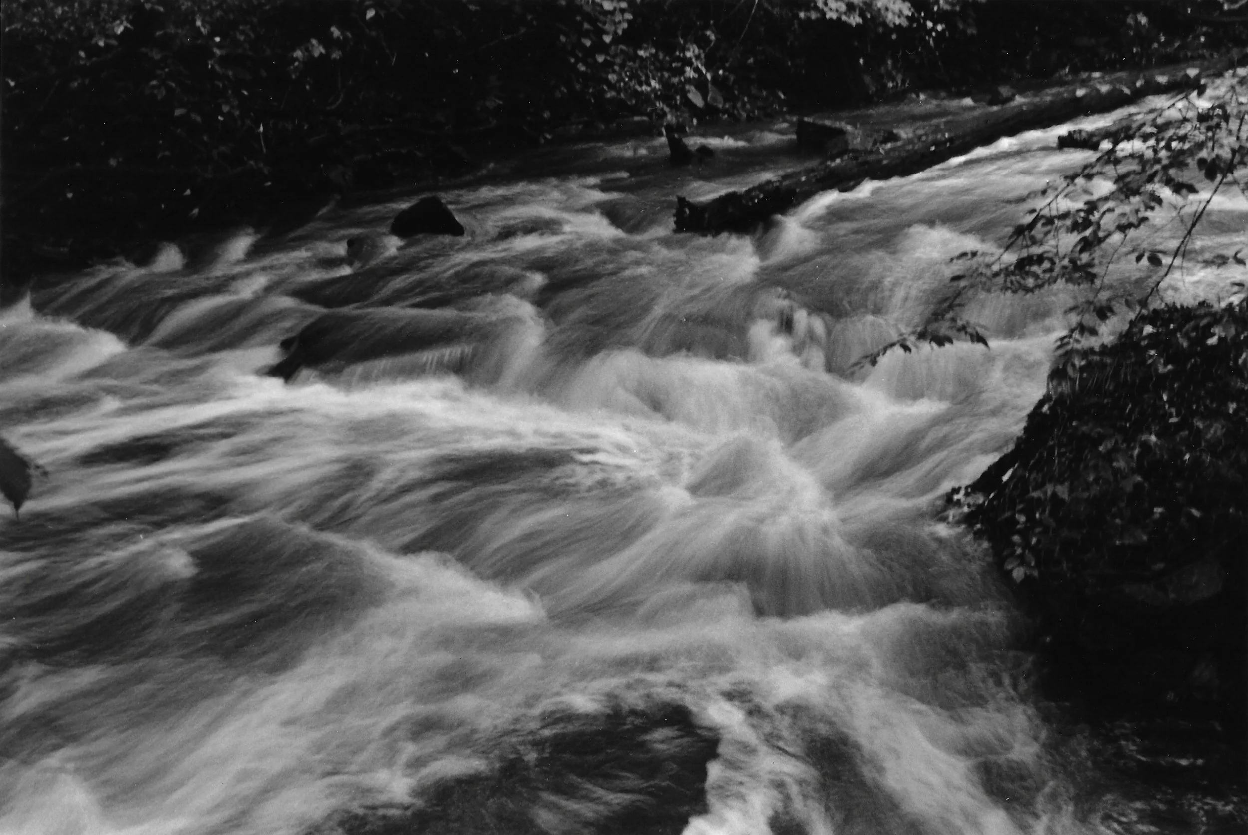 (7) Runs? She Sure Does.jpg