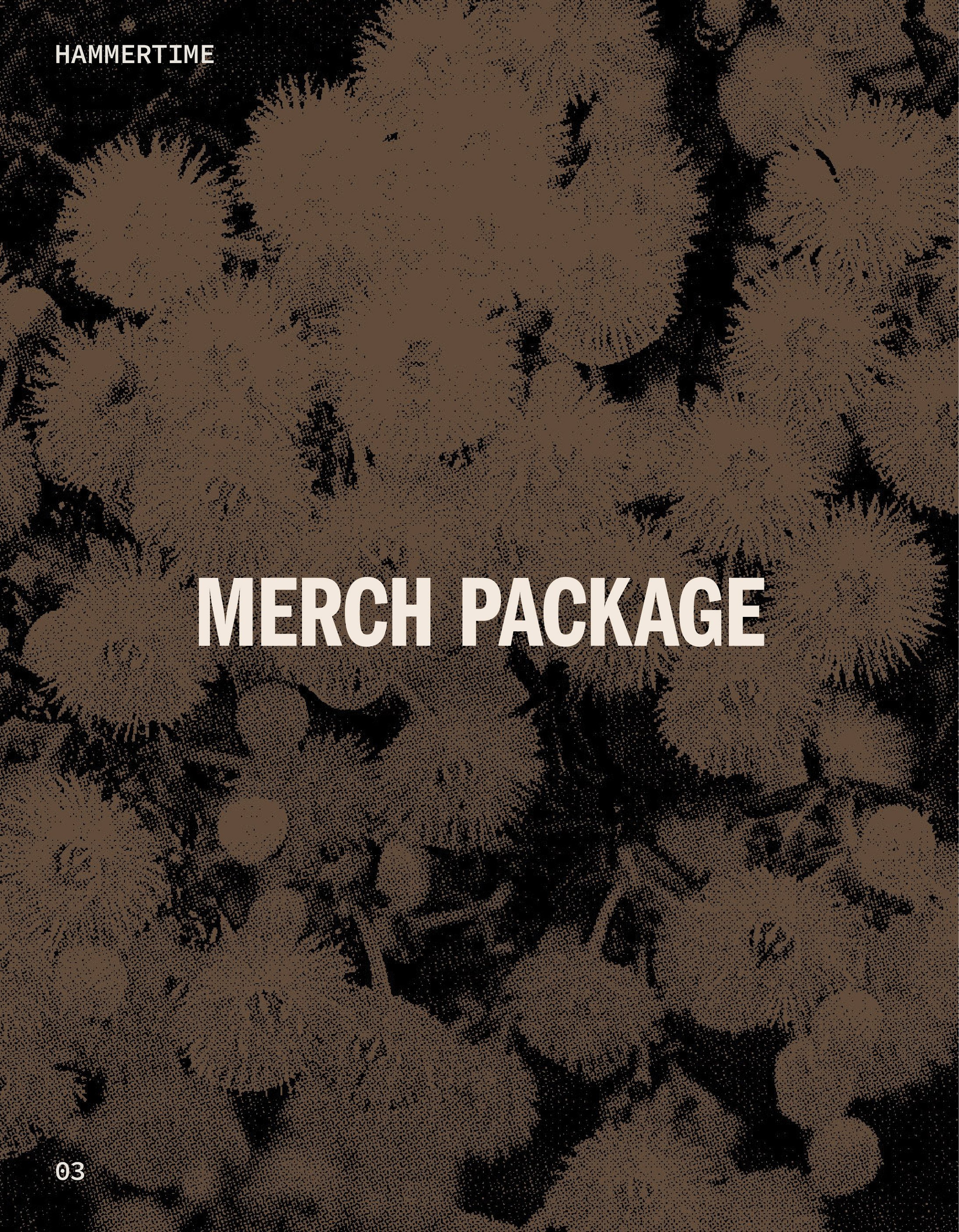 MERCH PACKAGE
